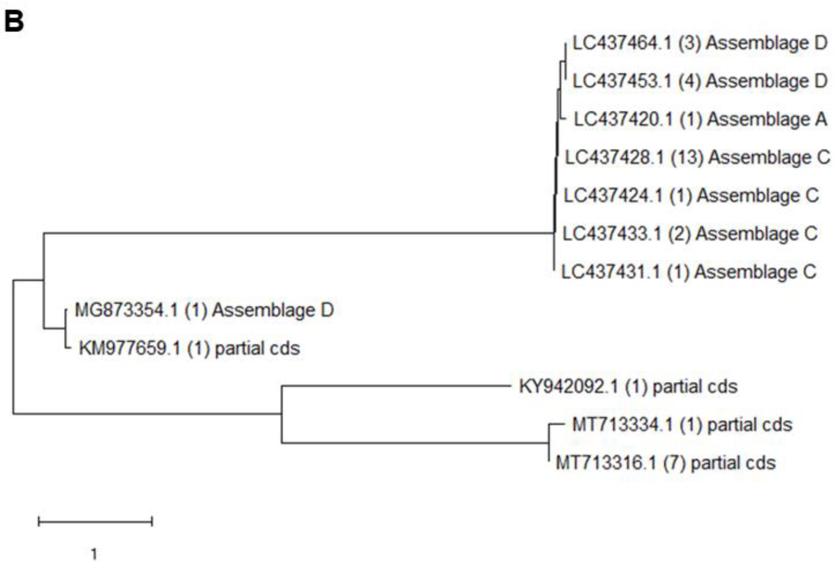 Animals 13 03373 g003b Animals 13 03373 g003b