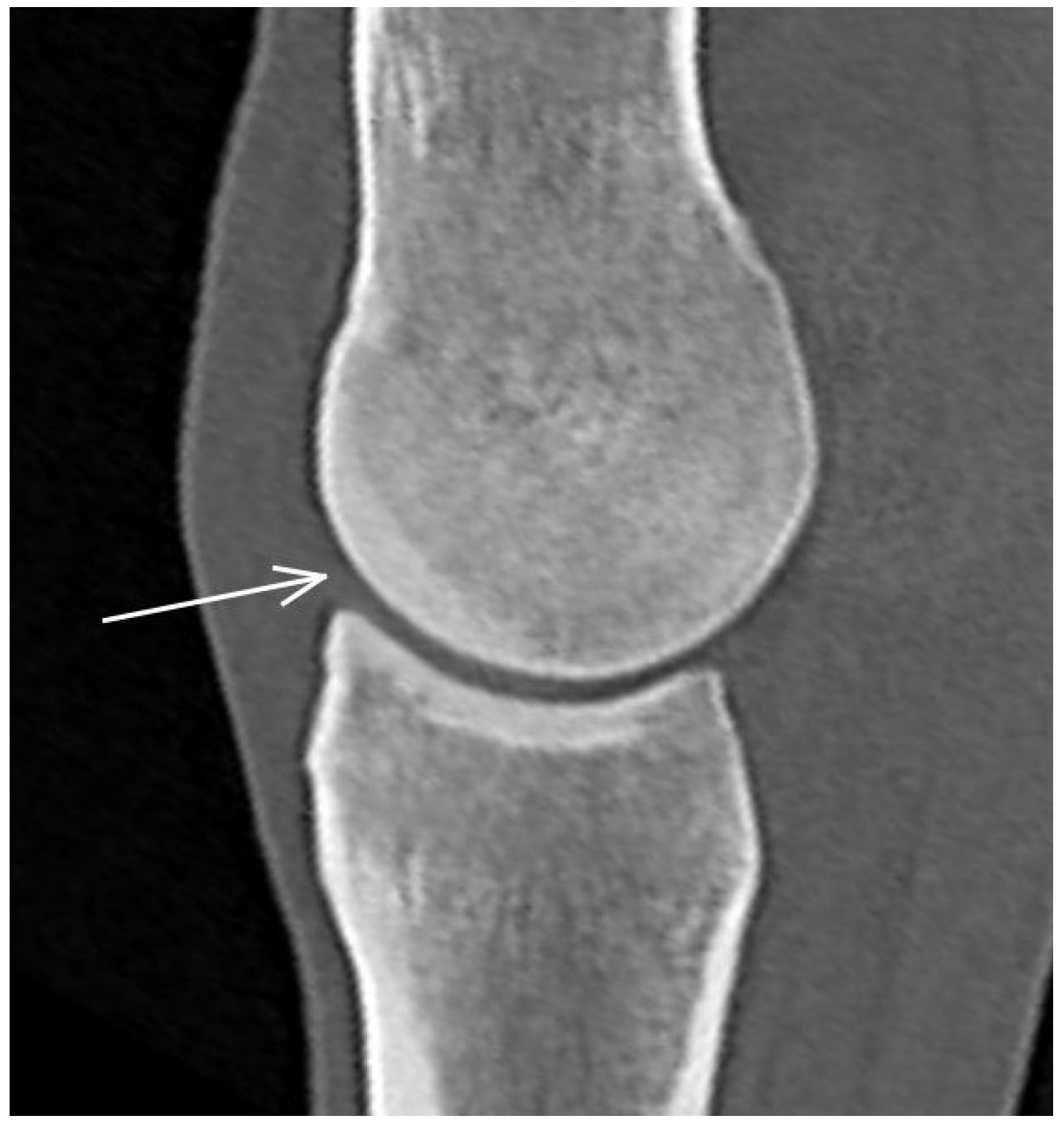 Animals 13 03466 g003