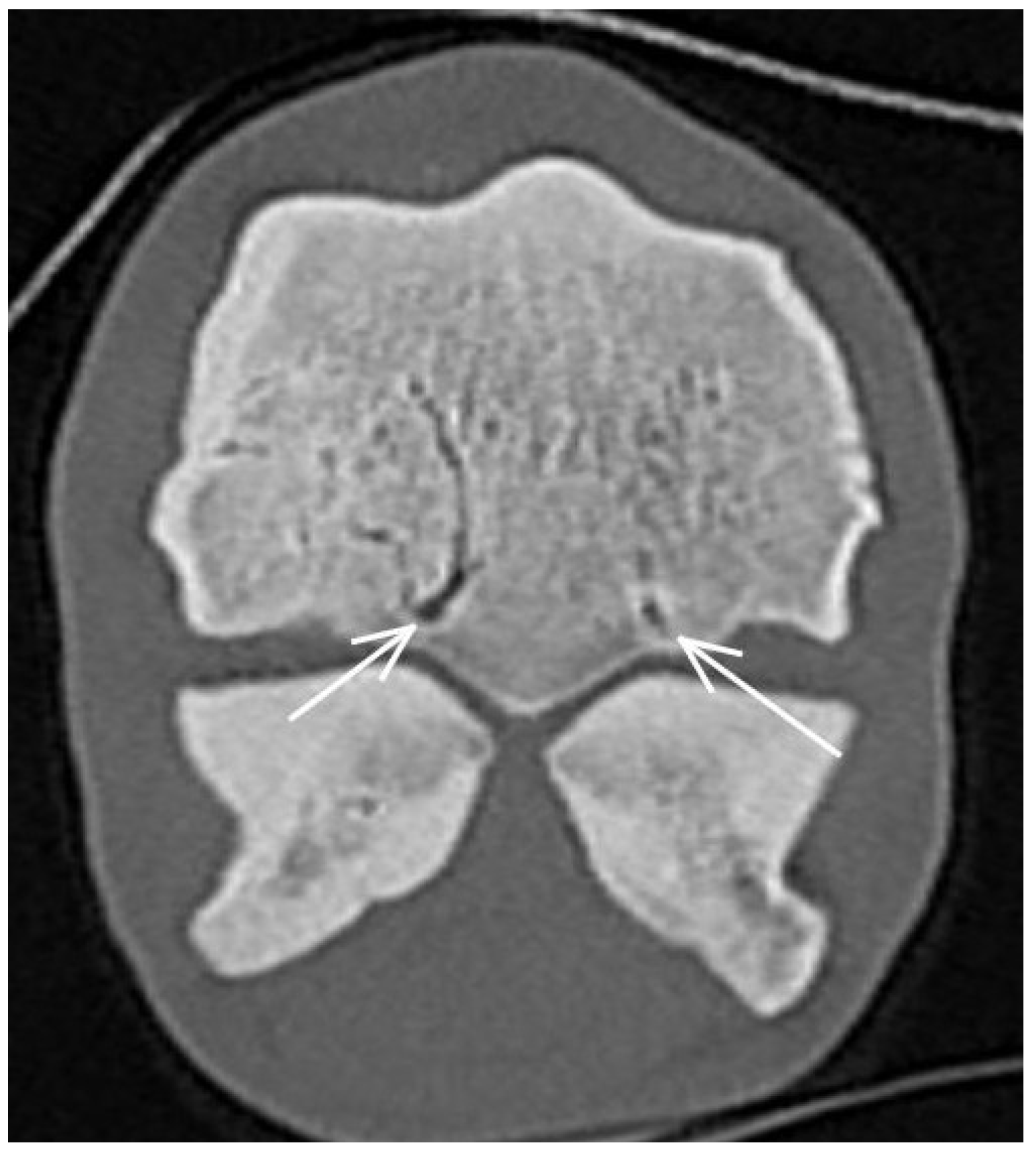 Animals 13 03466 g007