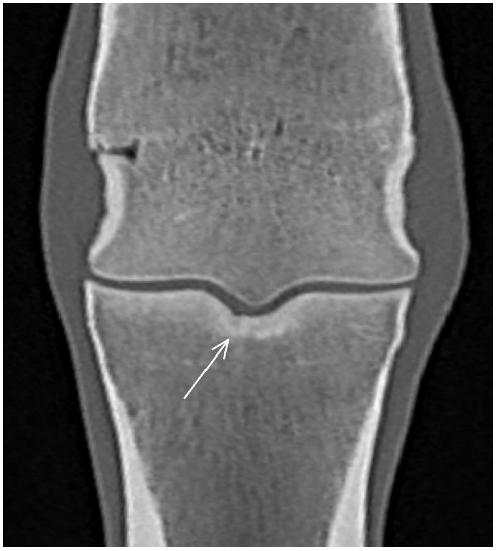 Animals 13 03466 g009