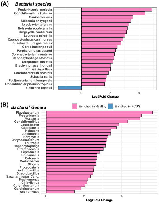 Animals Free Full Text The Oral Microbiome across Oral Sites