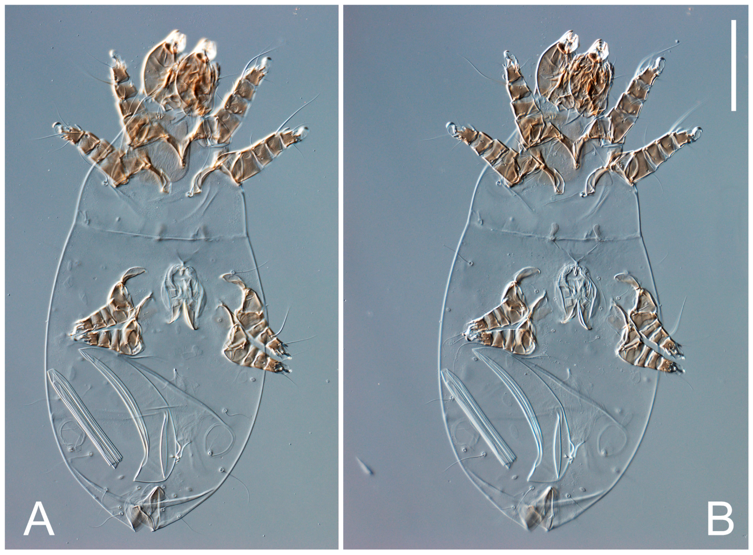 Animals 13 03546 g003