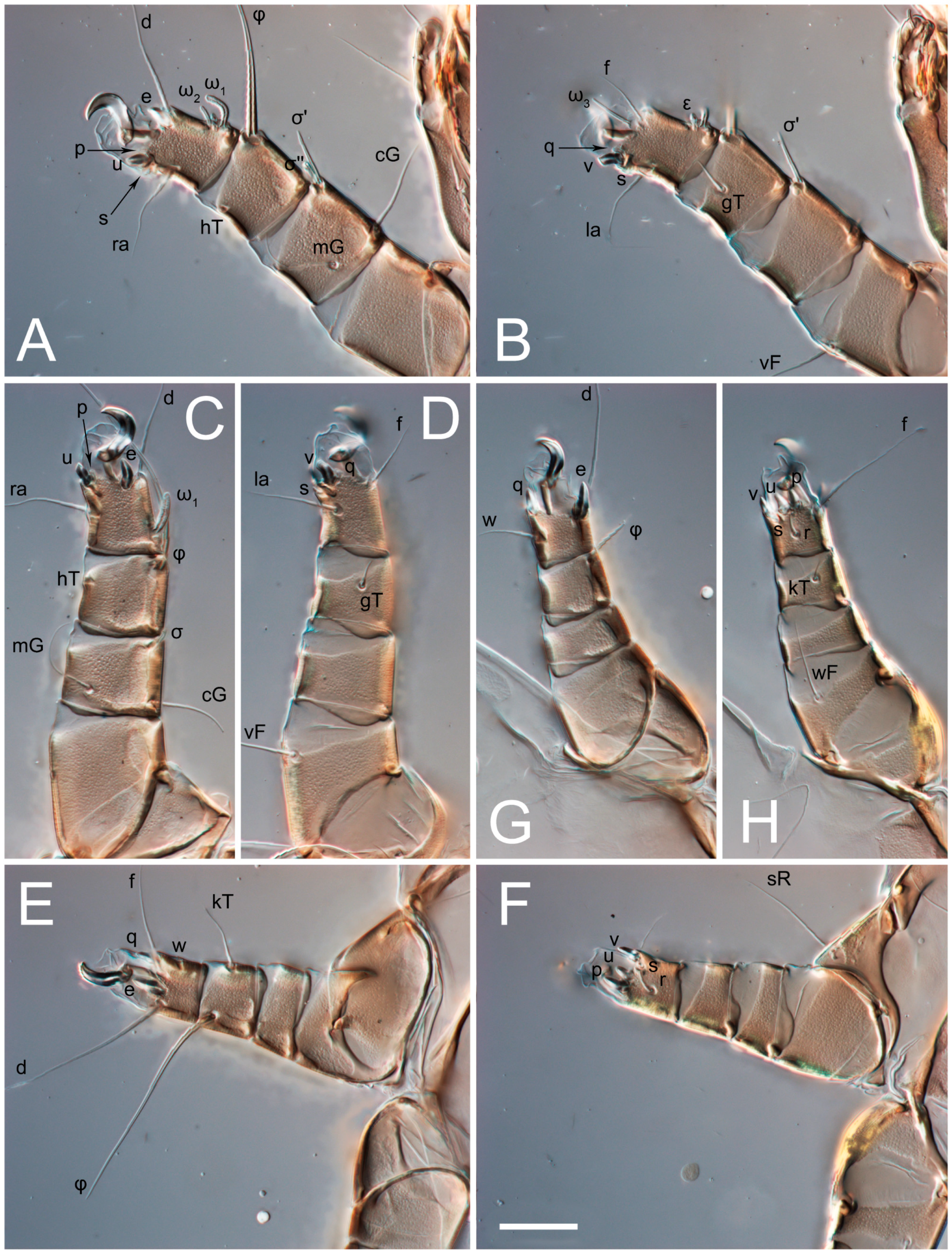 Animals 13 03546 g005