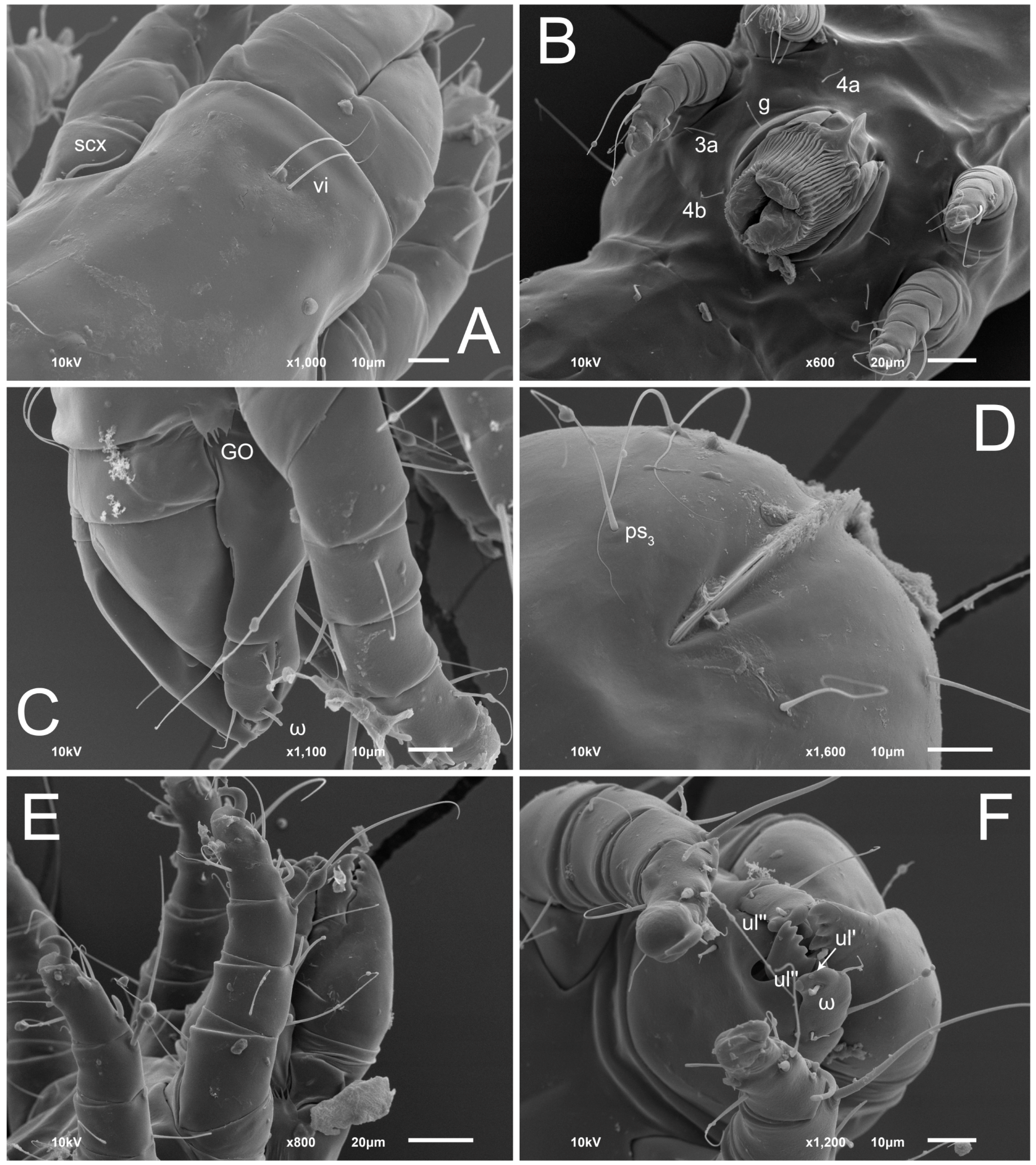 Animals 13 03546 g008