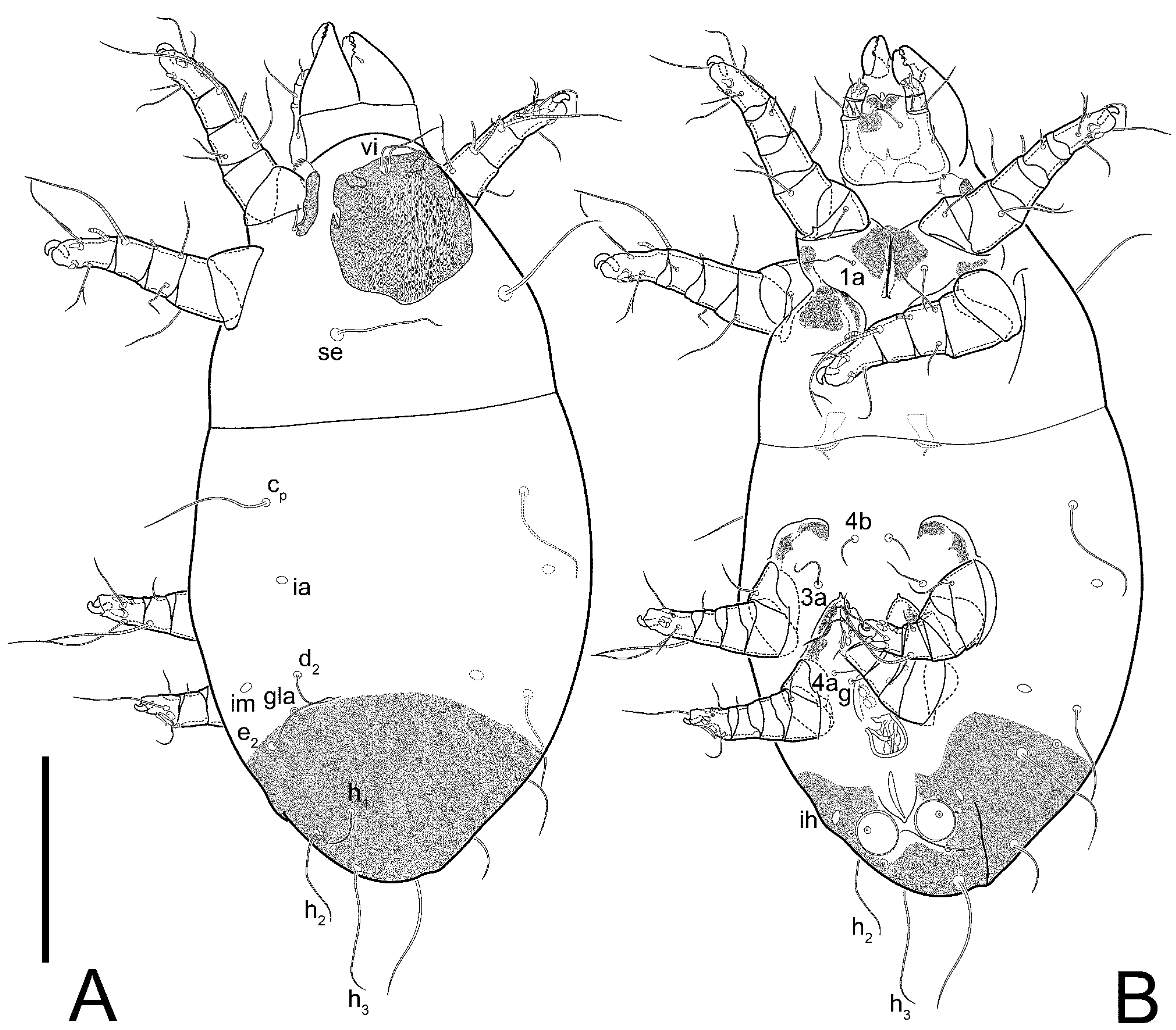 Animals 13 03546 g010