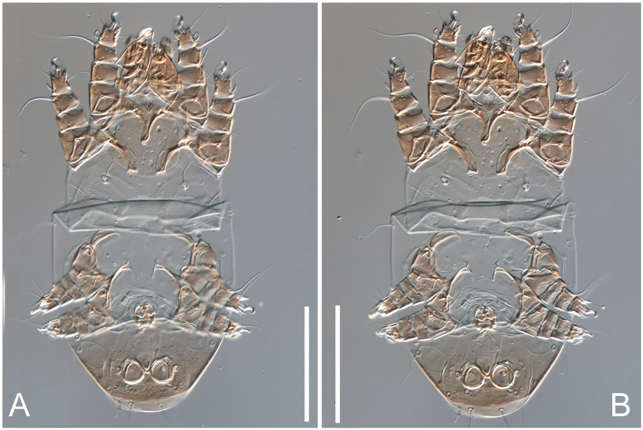 Animals 13 03546 g012