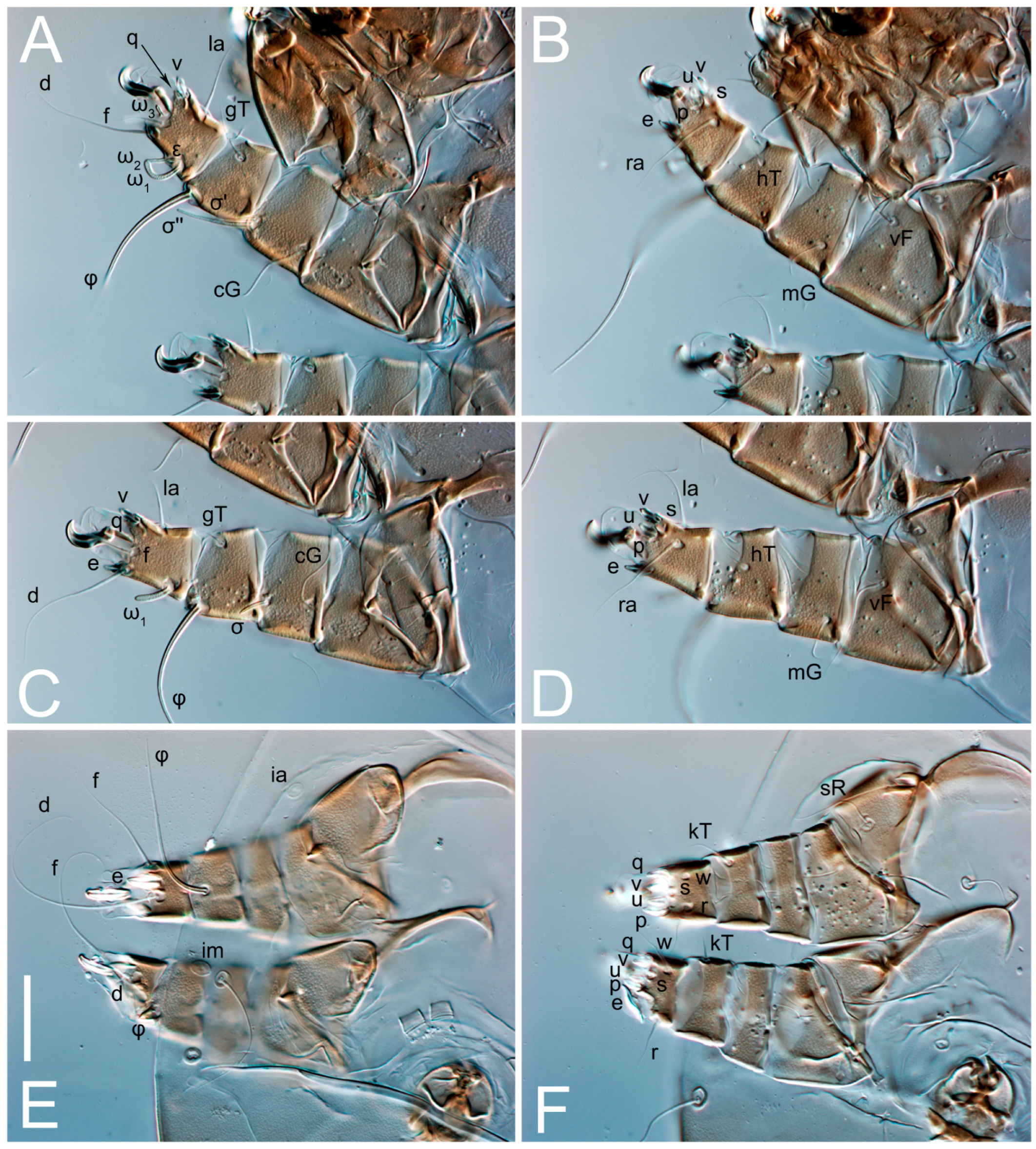 Animals 13 03546 g014