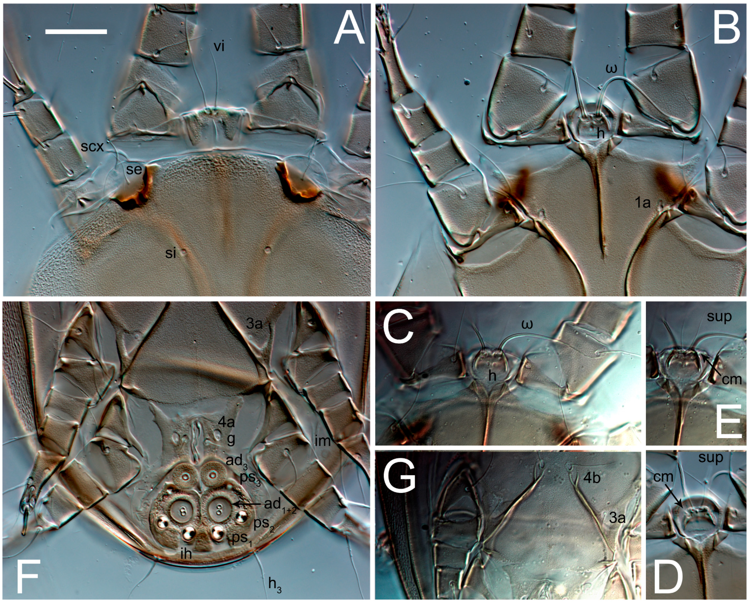 Animals 13 03546 g020