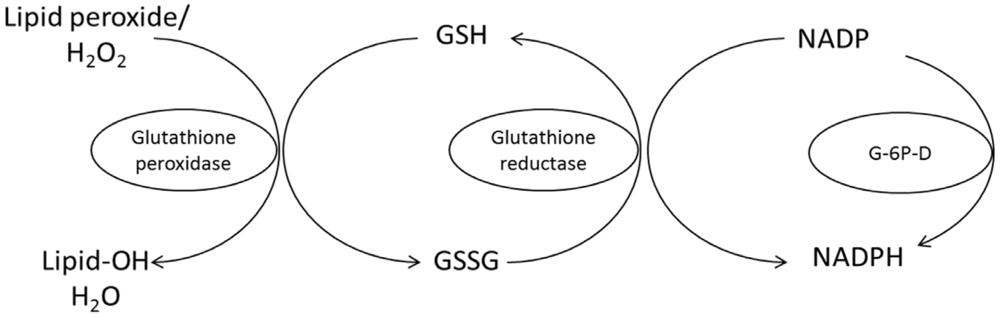 Animals 13 03554 g004 Animals 13 03554 g004