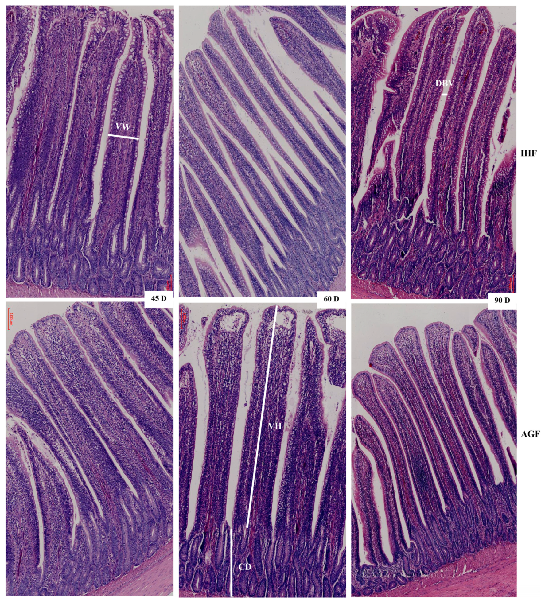 Animals 13 03574 g002