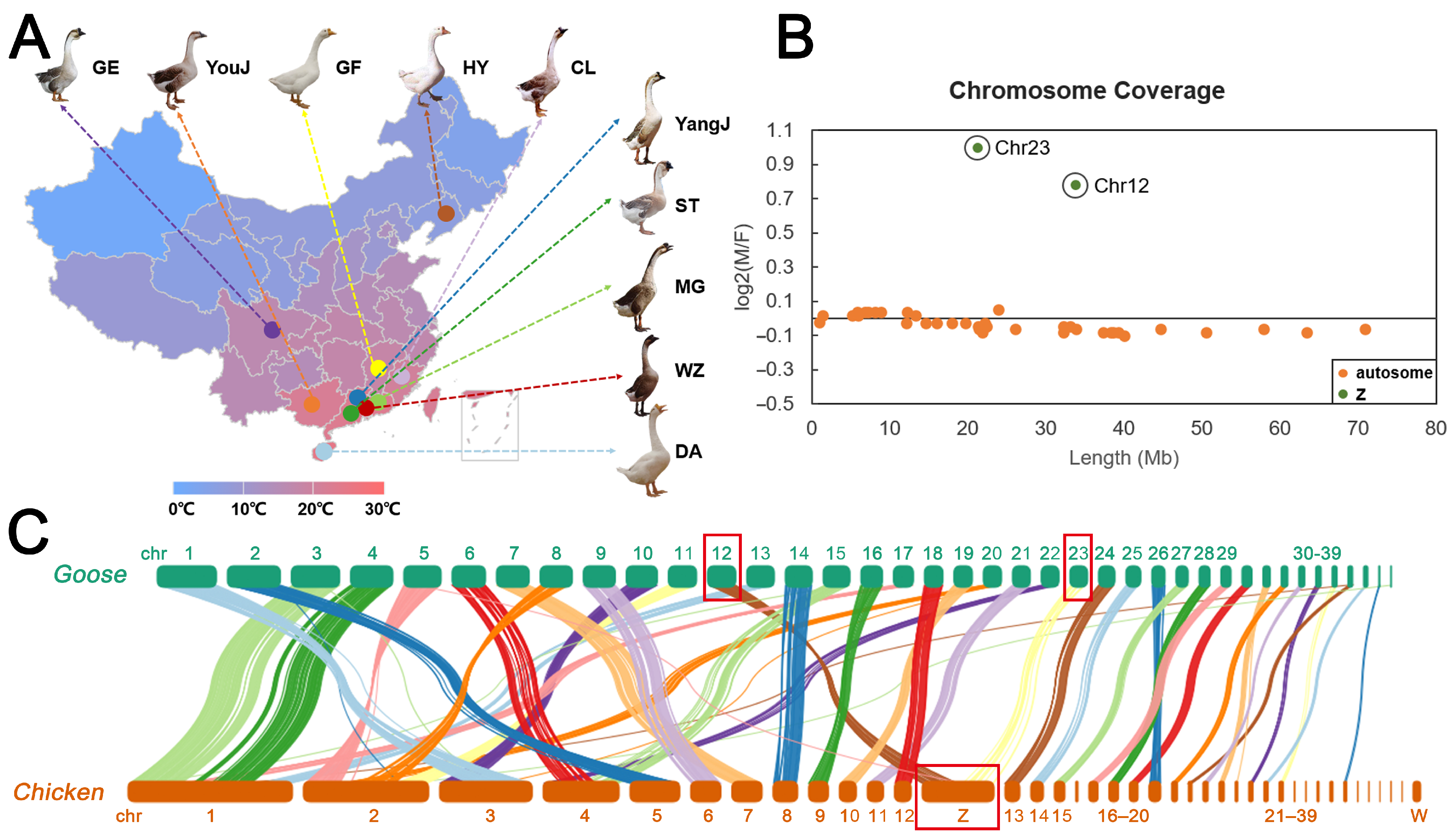 Animals 13 03608 g002
