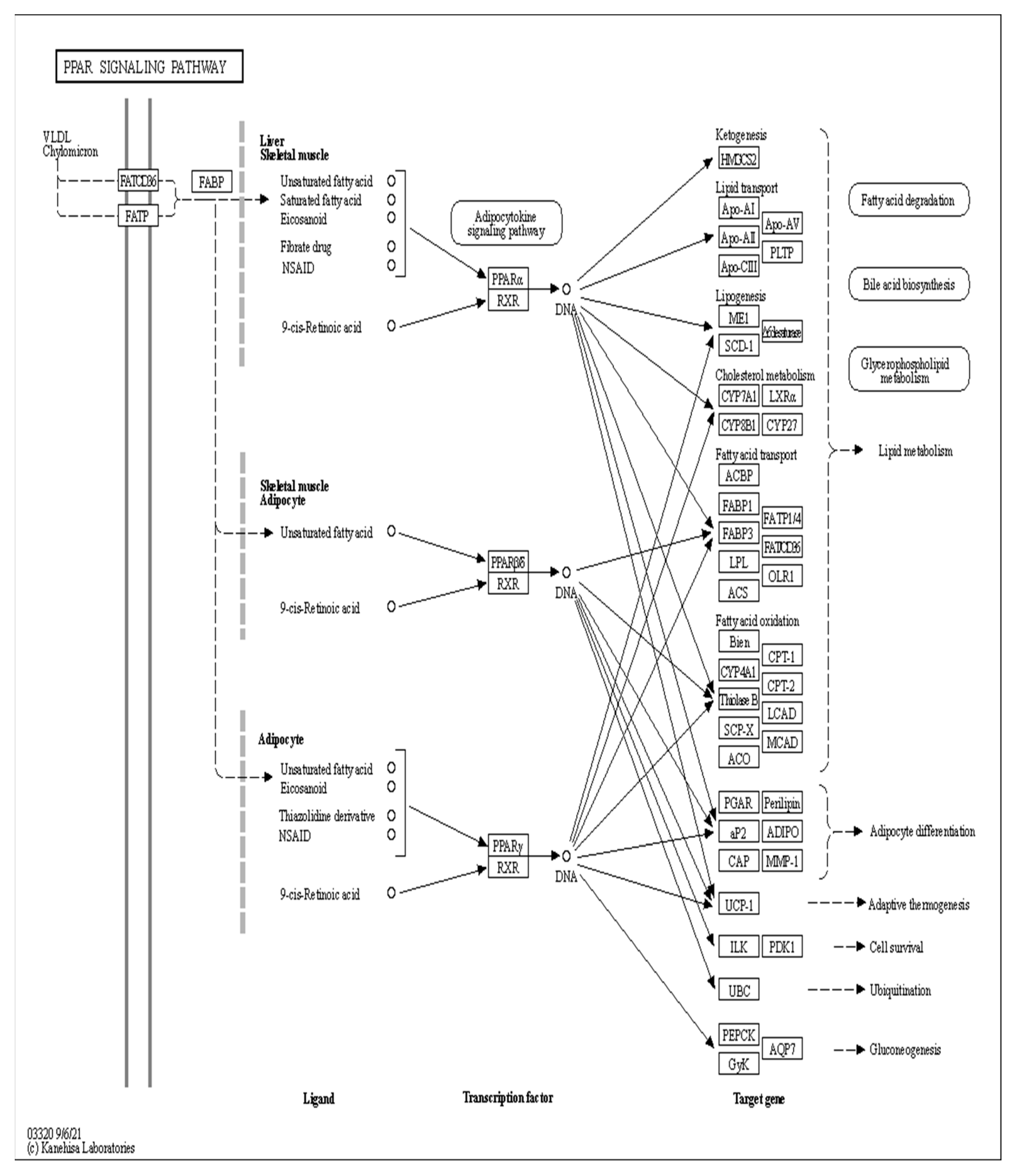 Animals 13 03618 g013