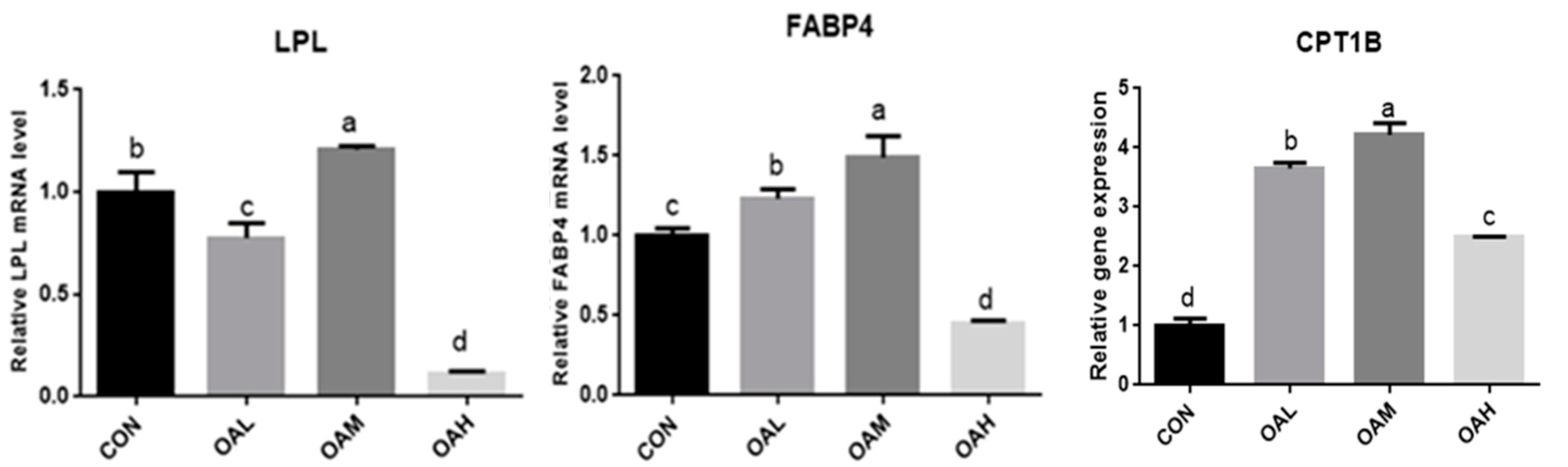 Animals 13 03618 g015