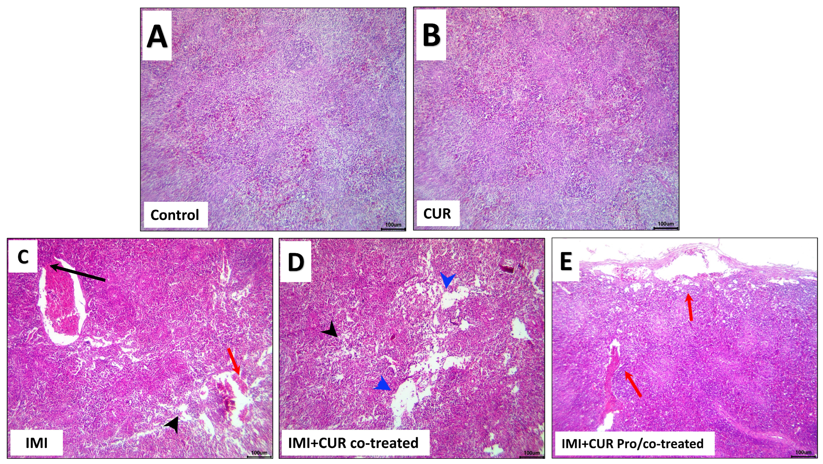 Animals 13 03650 g005