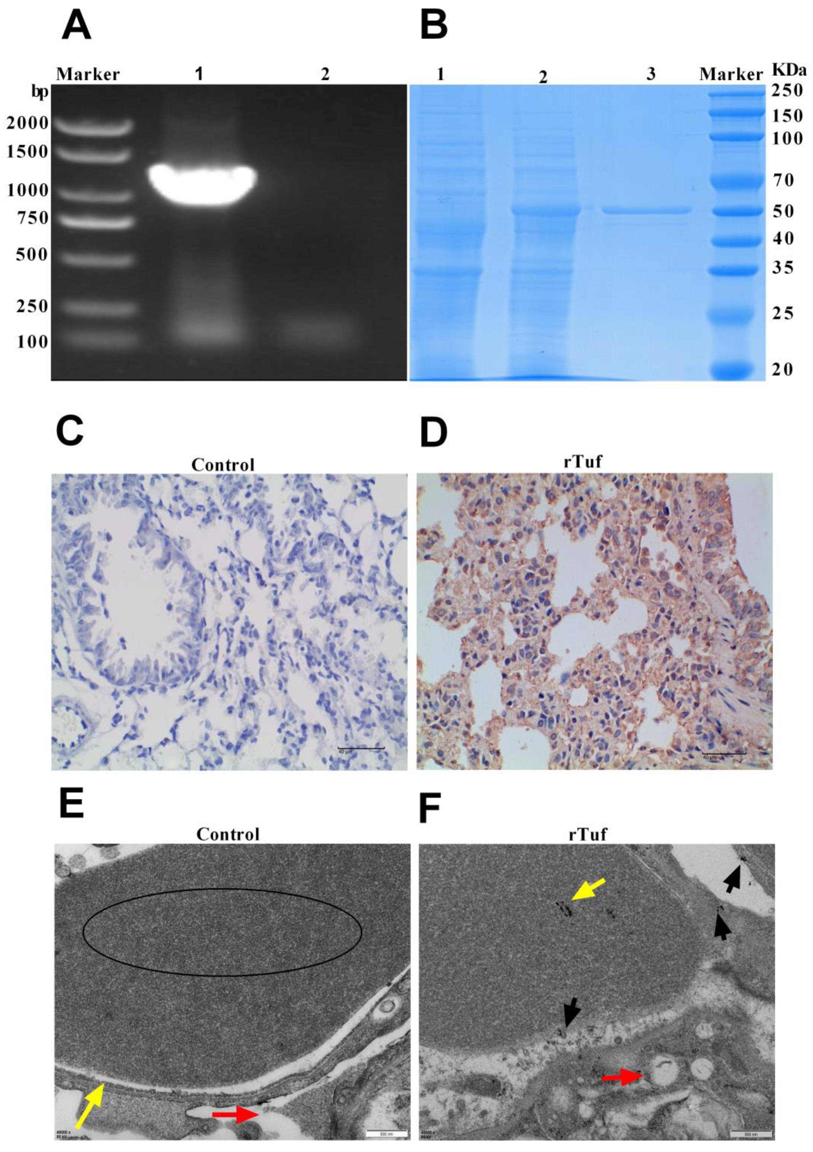 Animals 13 03683 g004