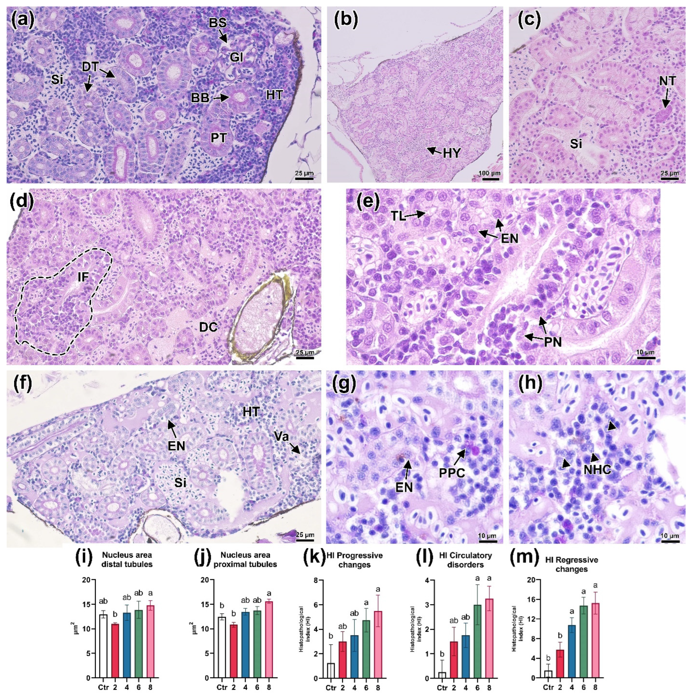 Animals 13 03685 g006