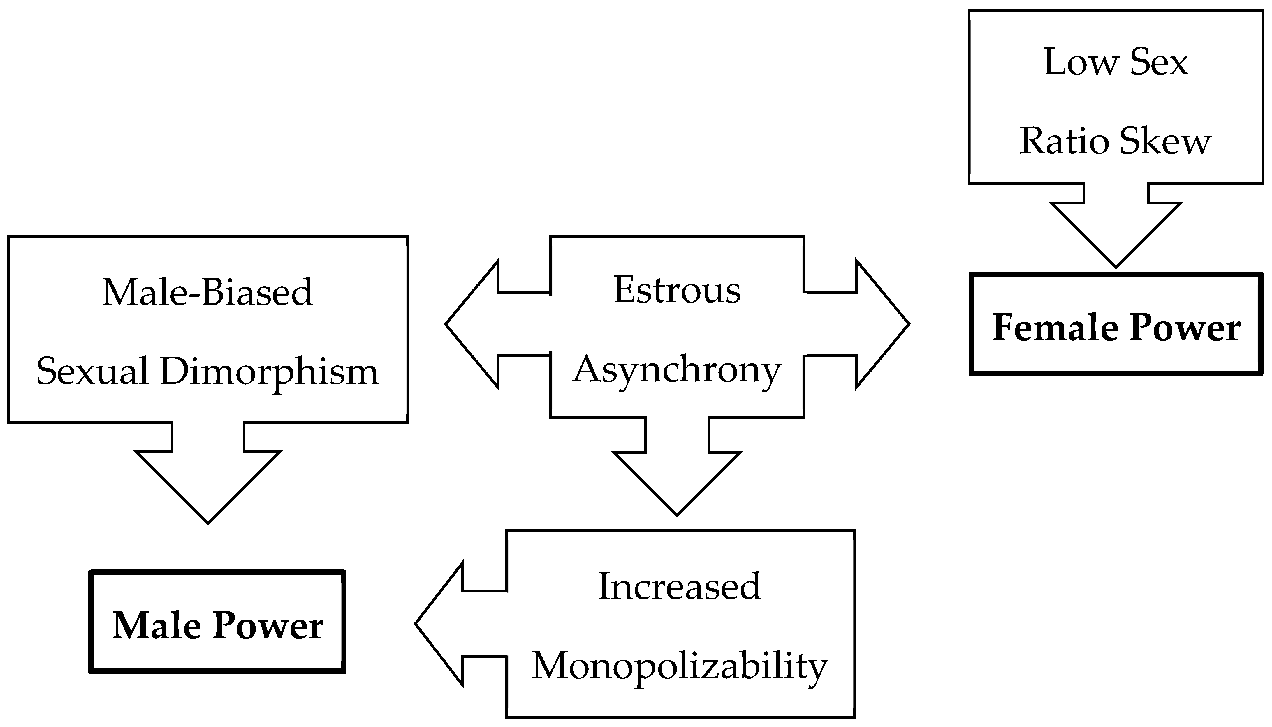 Animals | Free Full-Text | Evolutionary Patterns of Intersexual Power