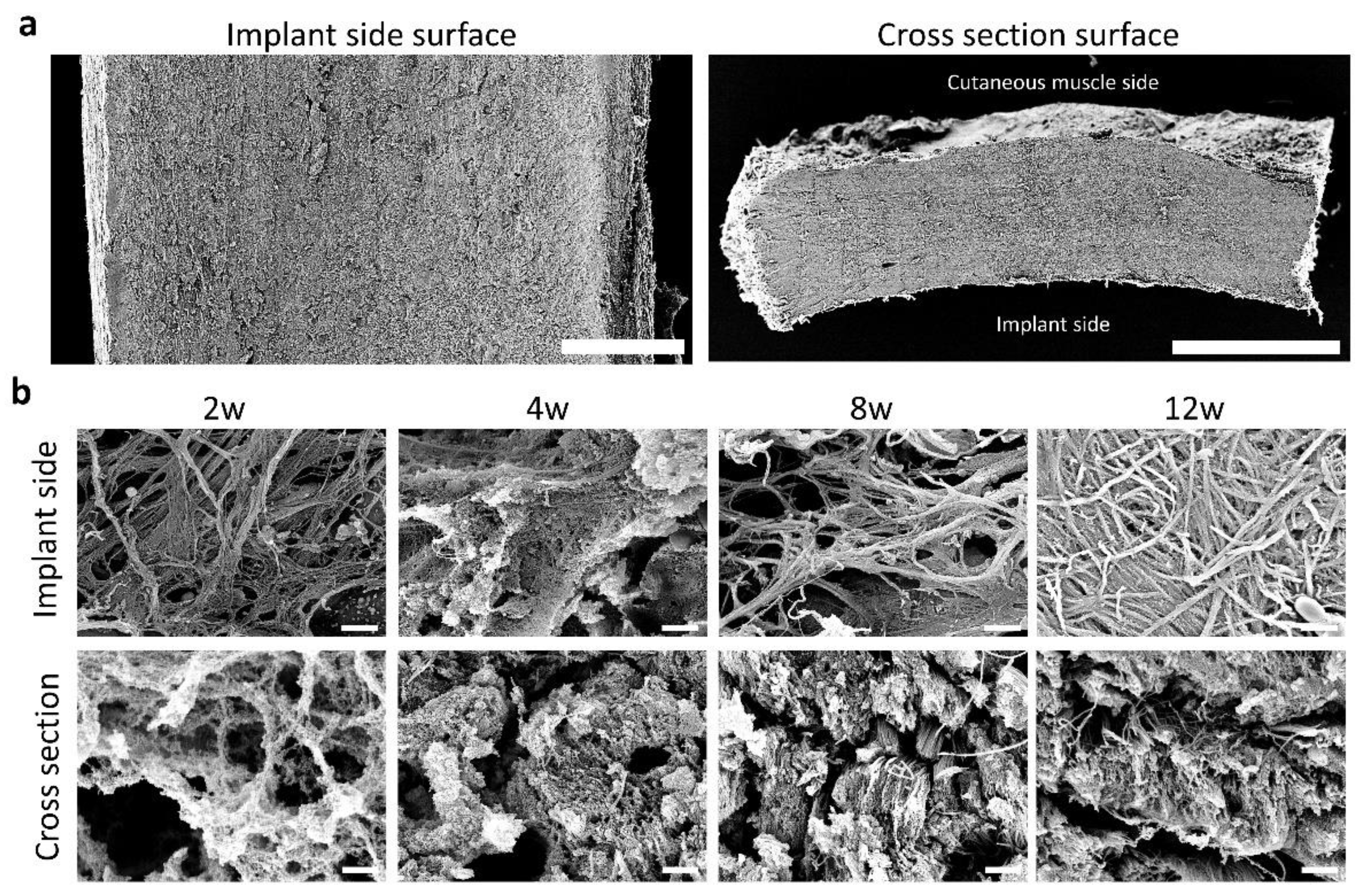 Animals 13 03700 g003