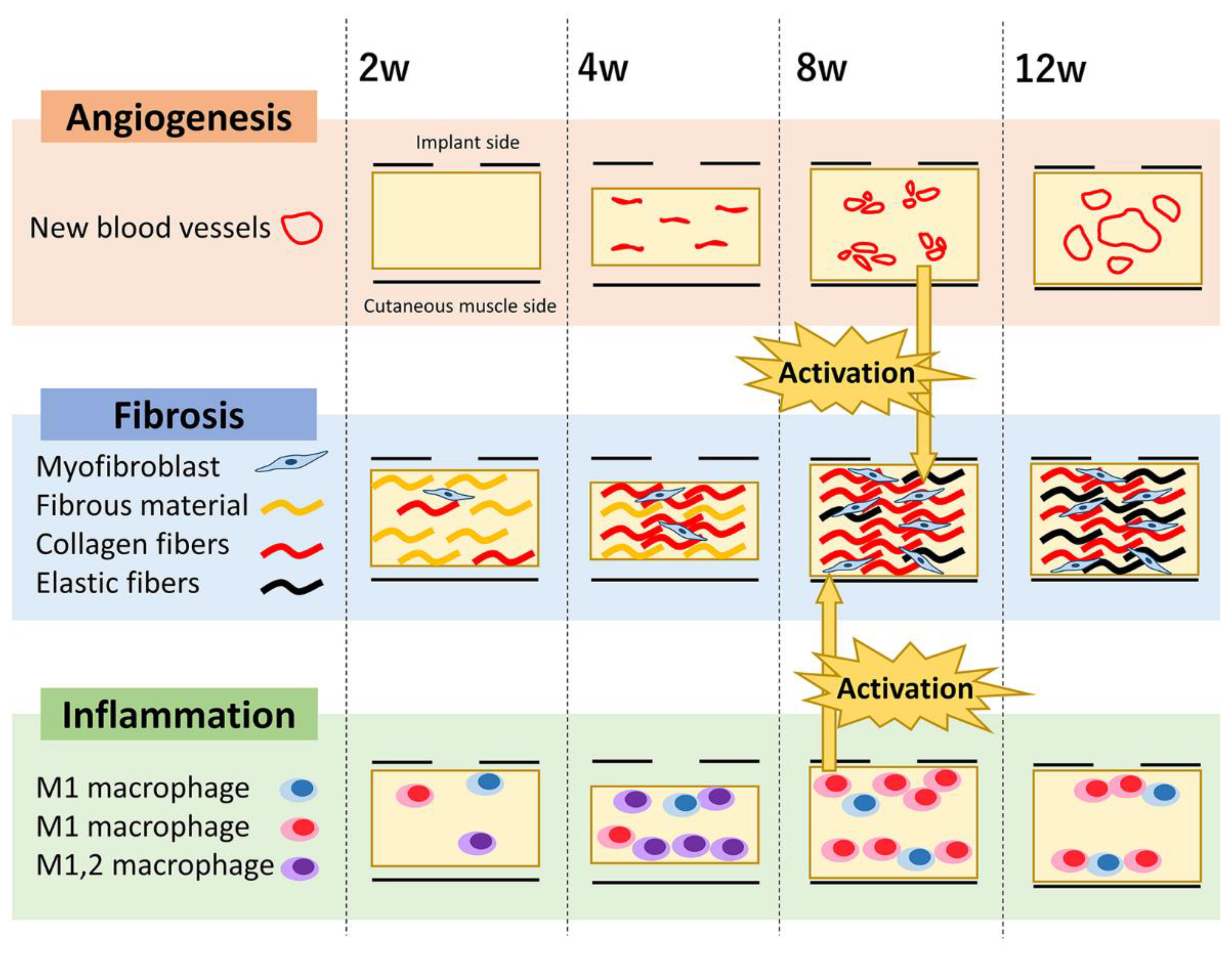 Animals 13 03700 g006