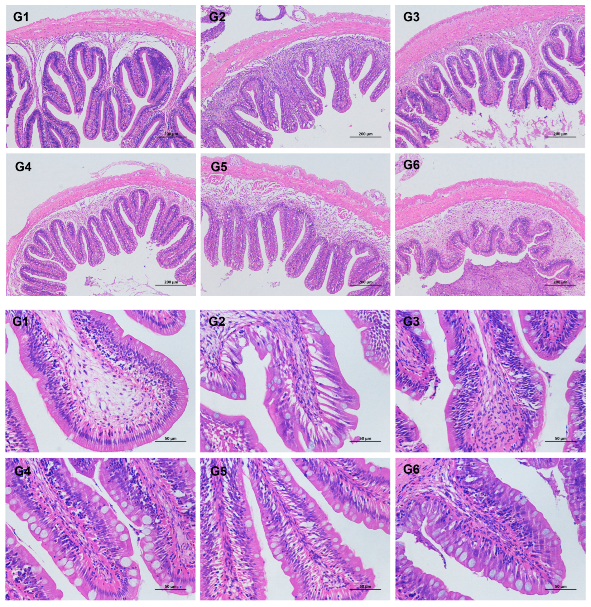 Animals 13 03705 g003