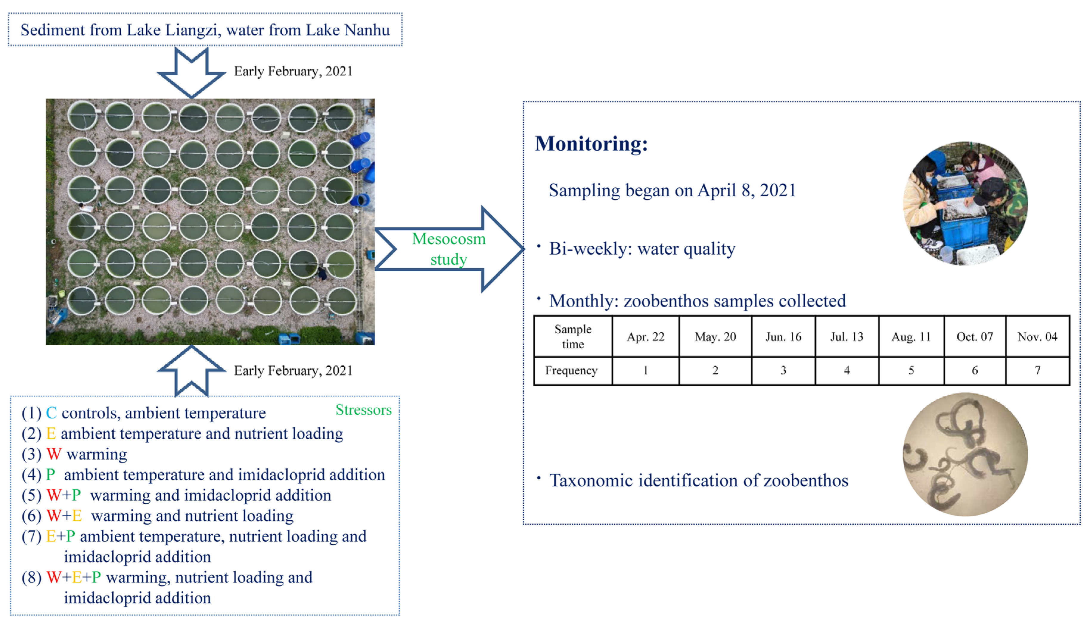 Animals 13 03722 g002