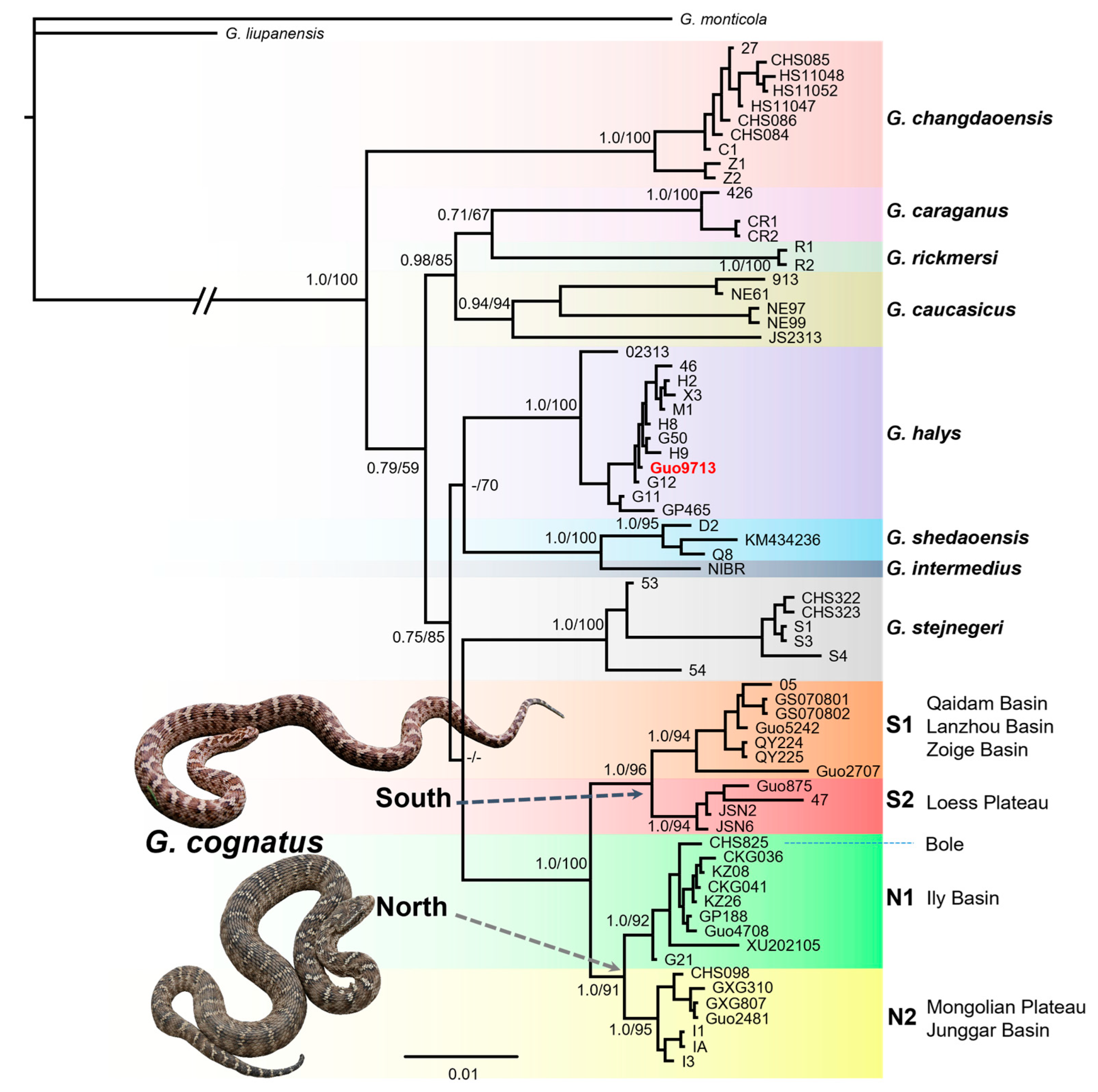 Animals 13 03726 g002 Animals 13 03726 g002