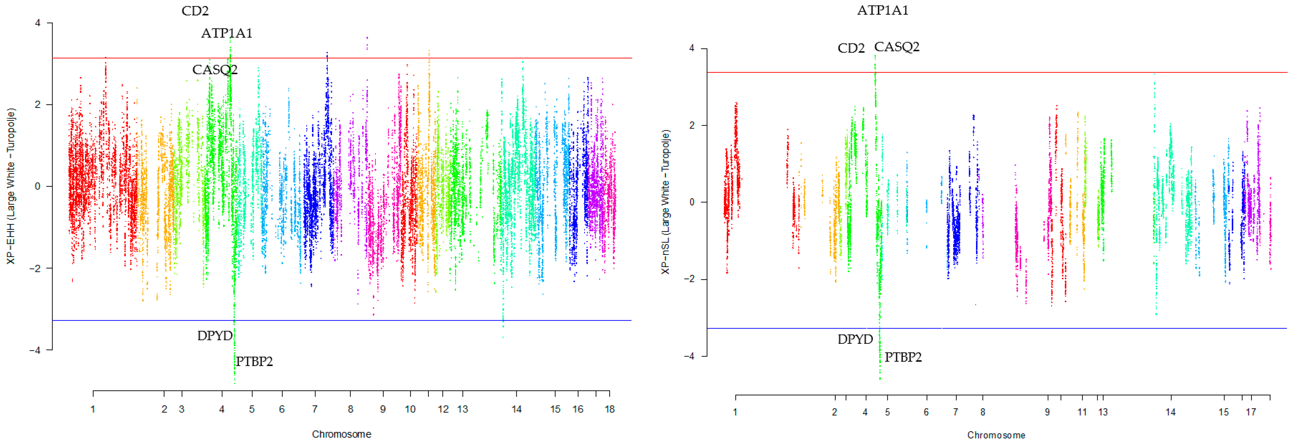 Animals 13 03749 g001