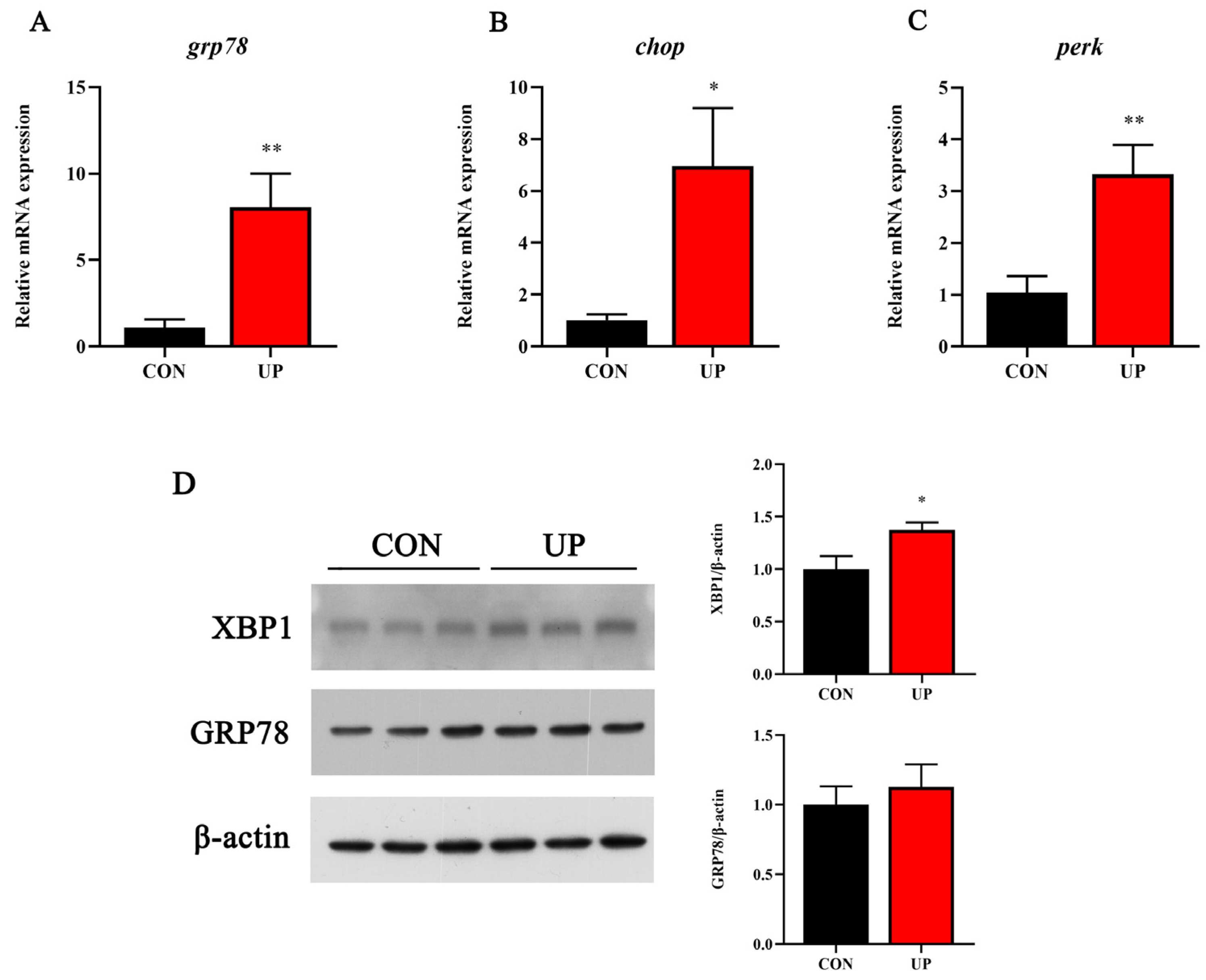 Animals 13 03768 g007