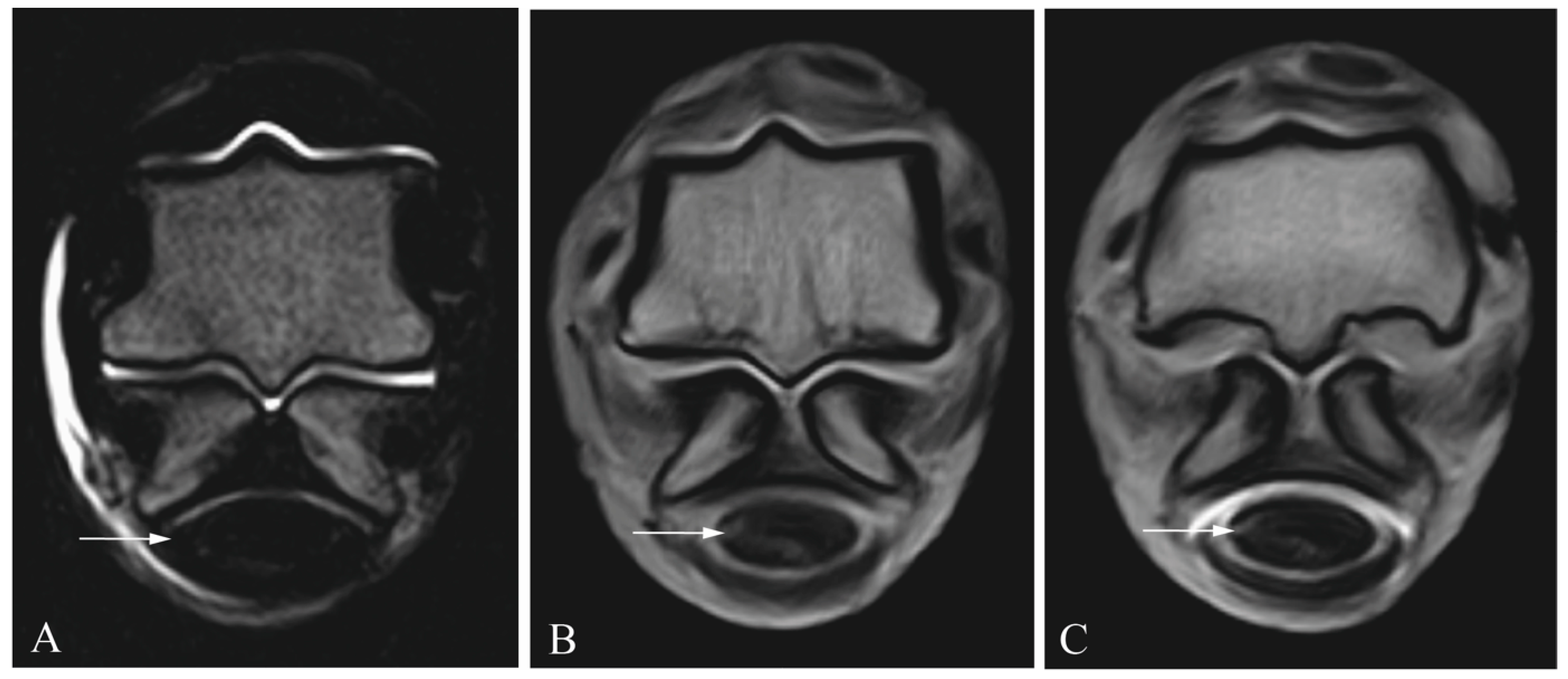 Animals 13 03772 g003