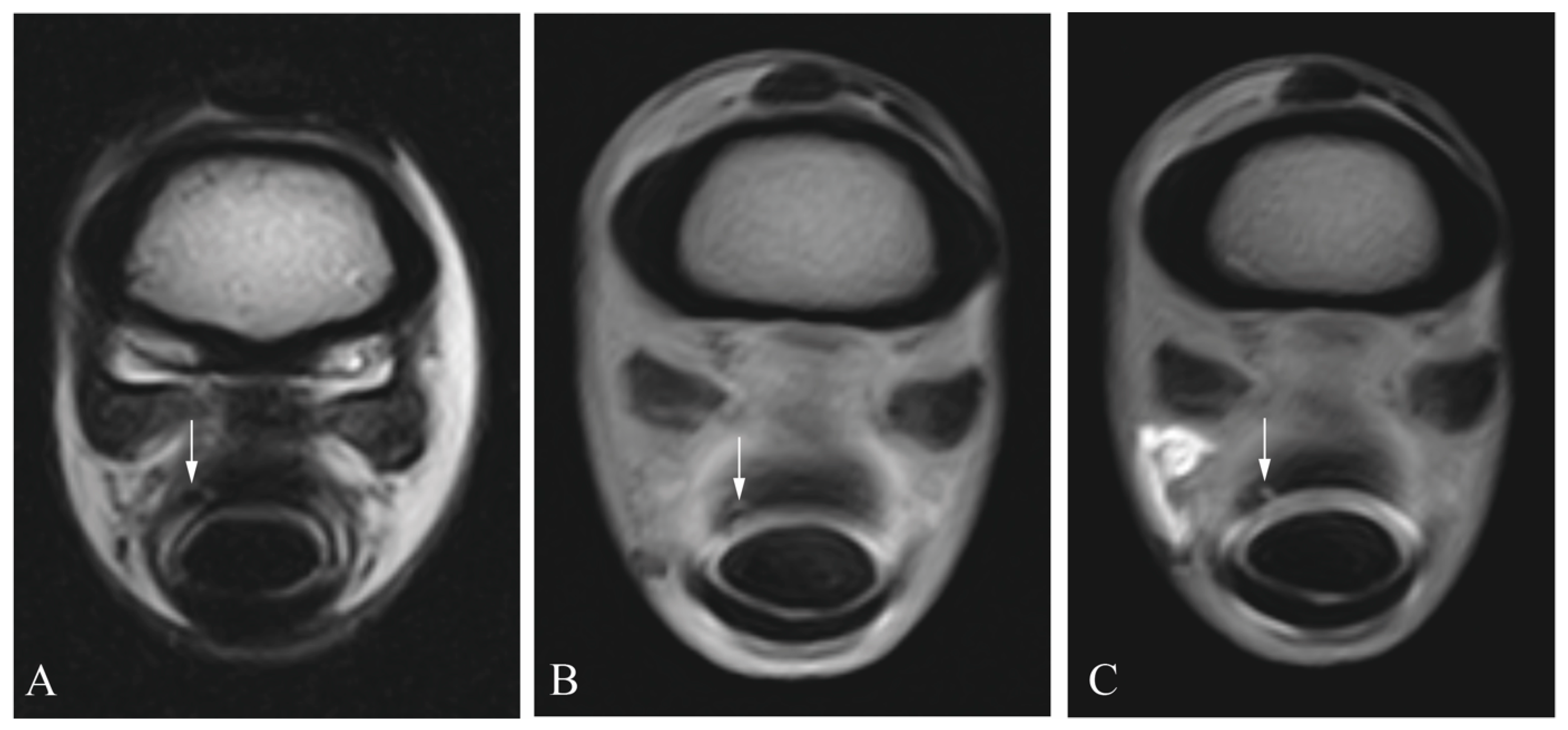 Animals 13 03772 g005