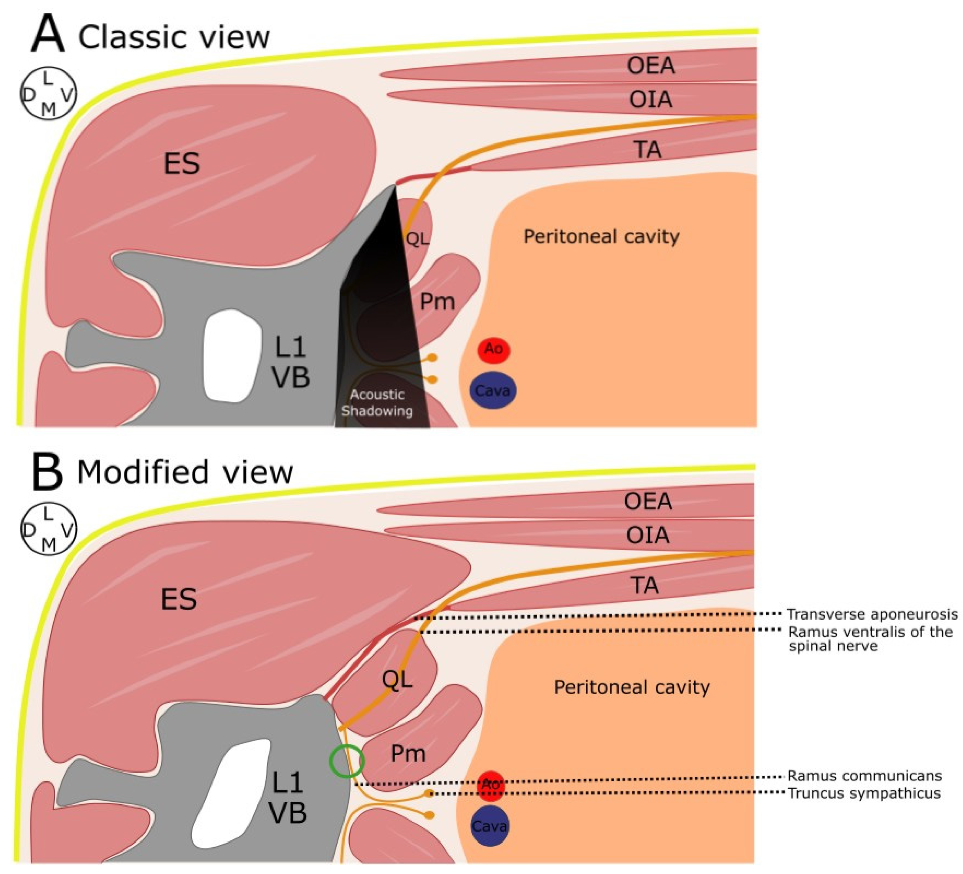 Animals 13 03798 g002