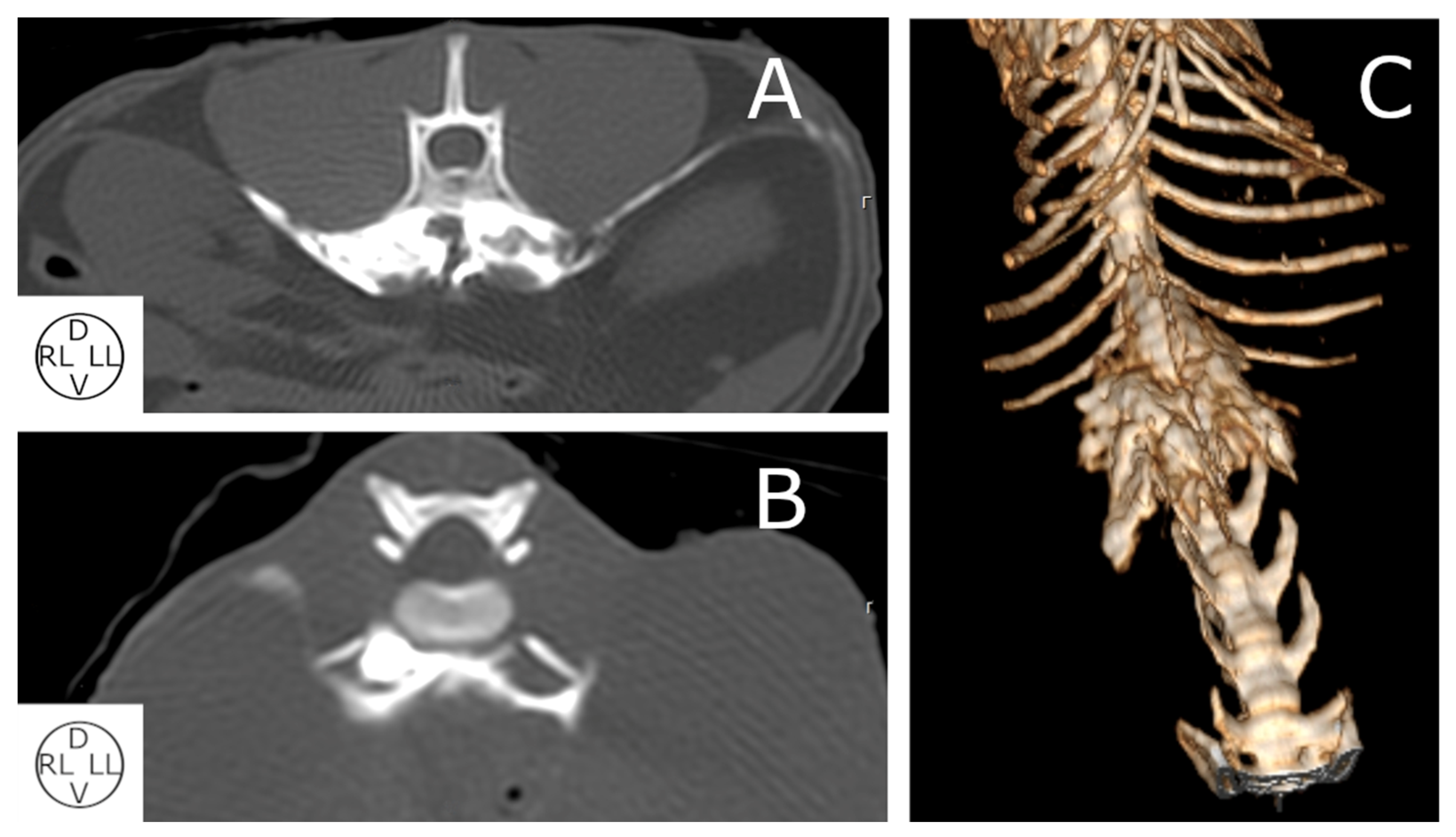 Animals 13 03798 g005