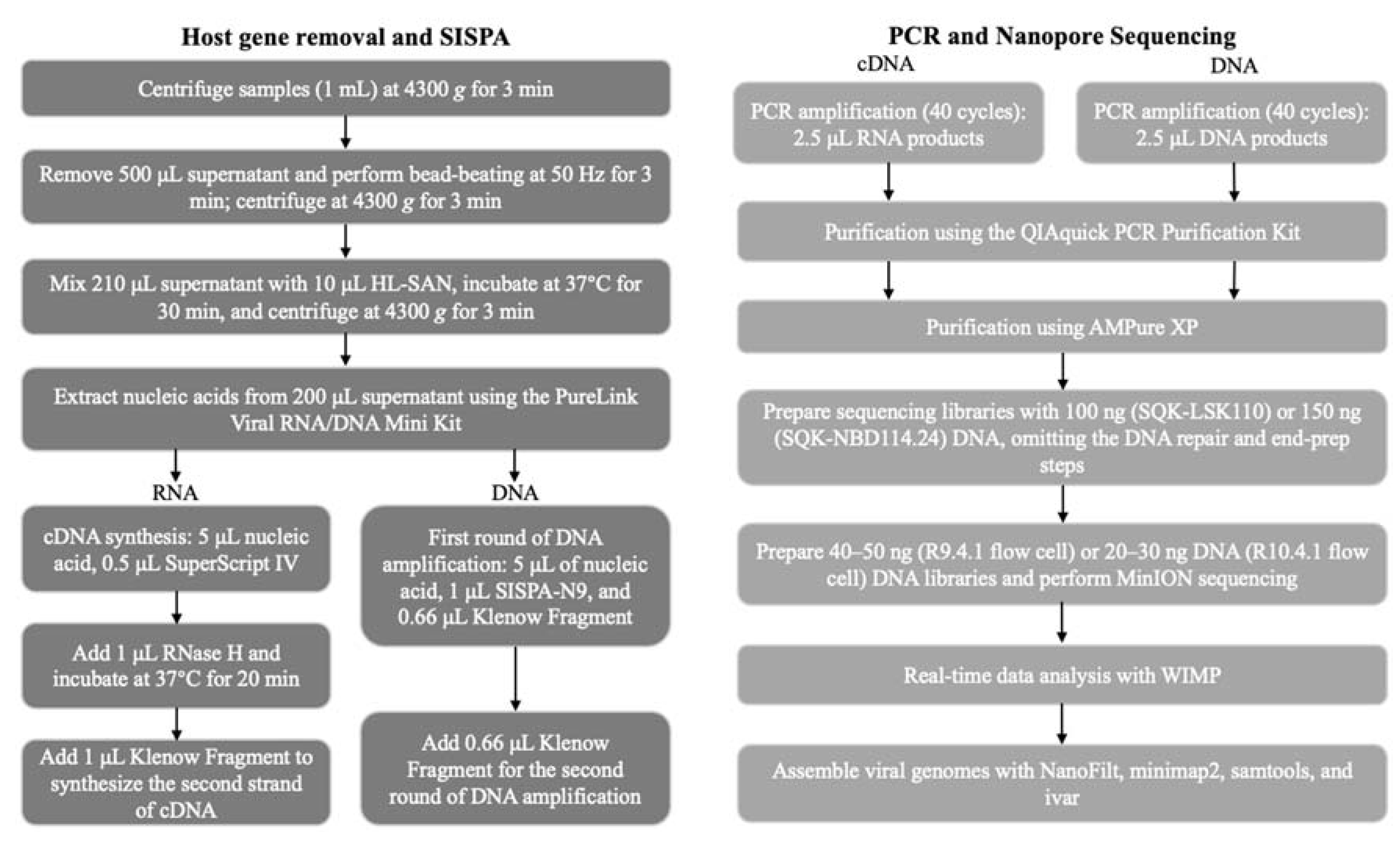 Animals | Free Full-Text | Application of Host-Depleted Nanopore