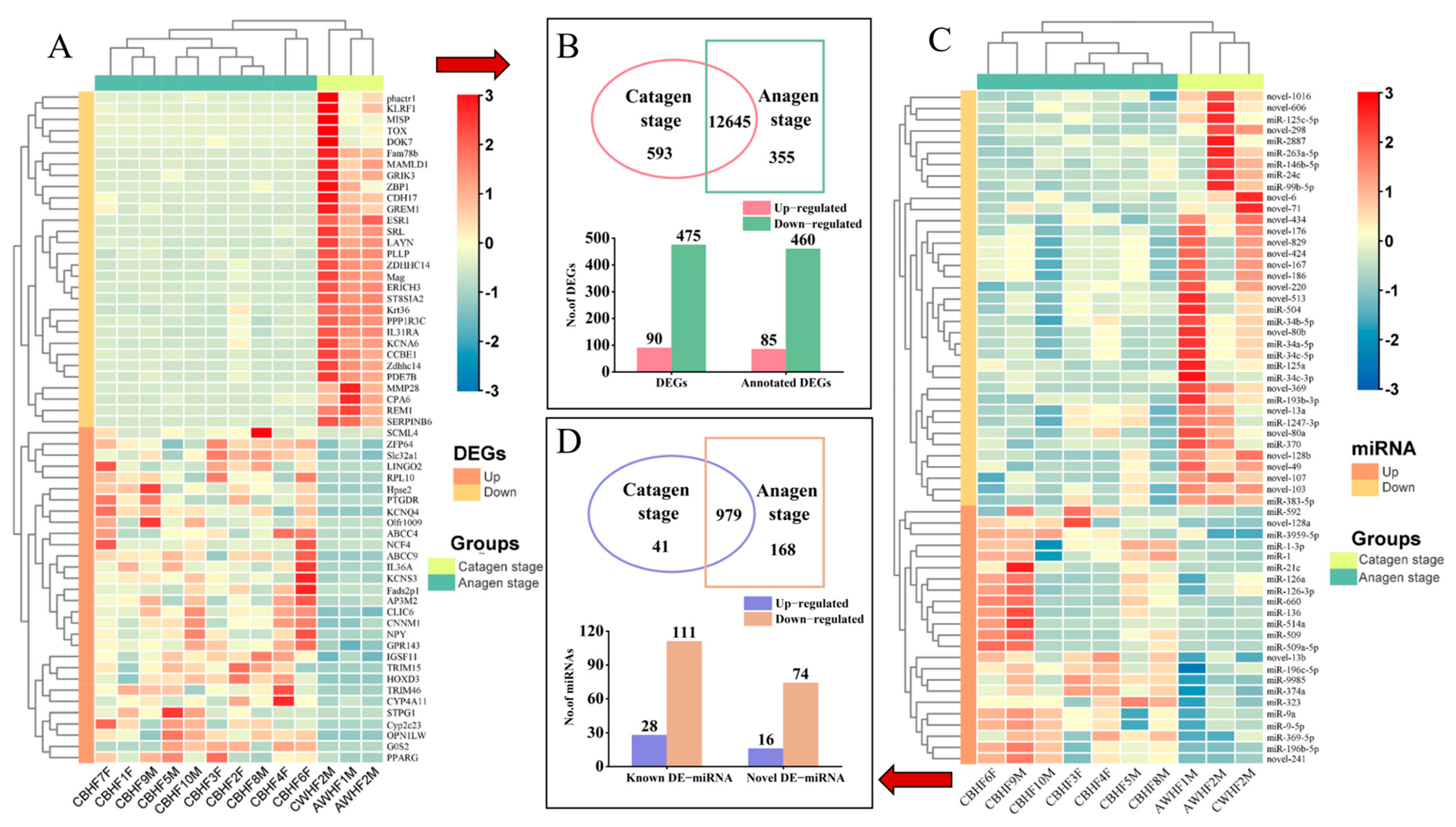 Animals 13 03869 g002