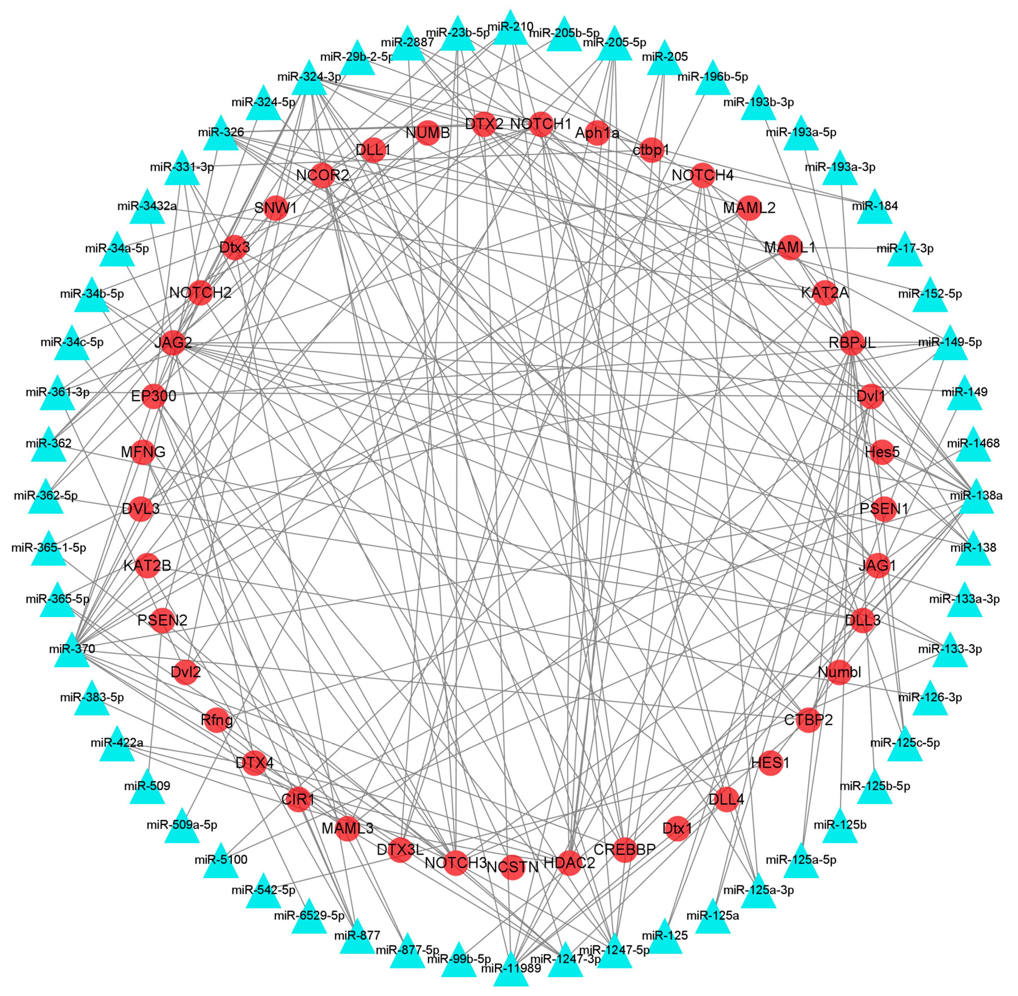 Animals 13 03869 g004