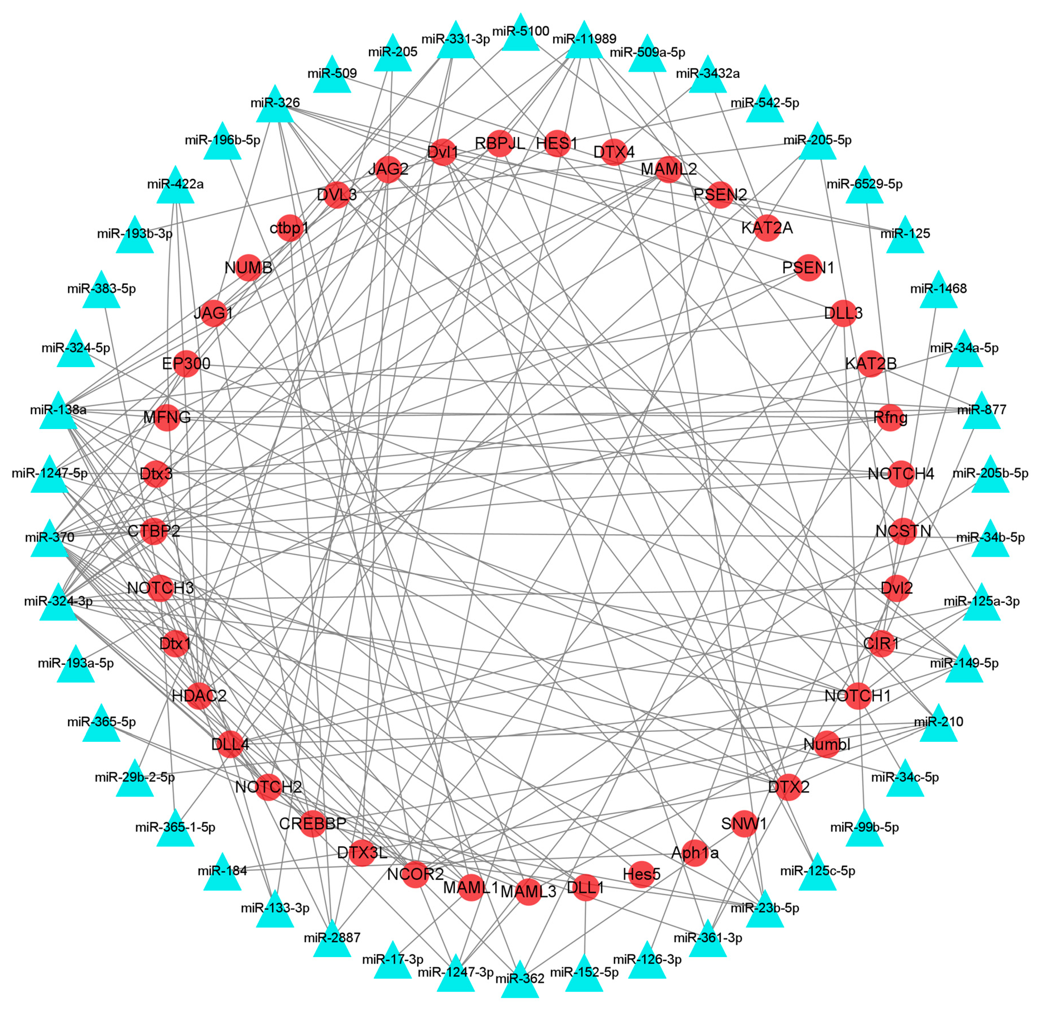 Animals 13 03869 g005