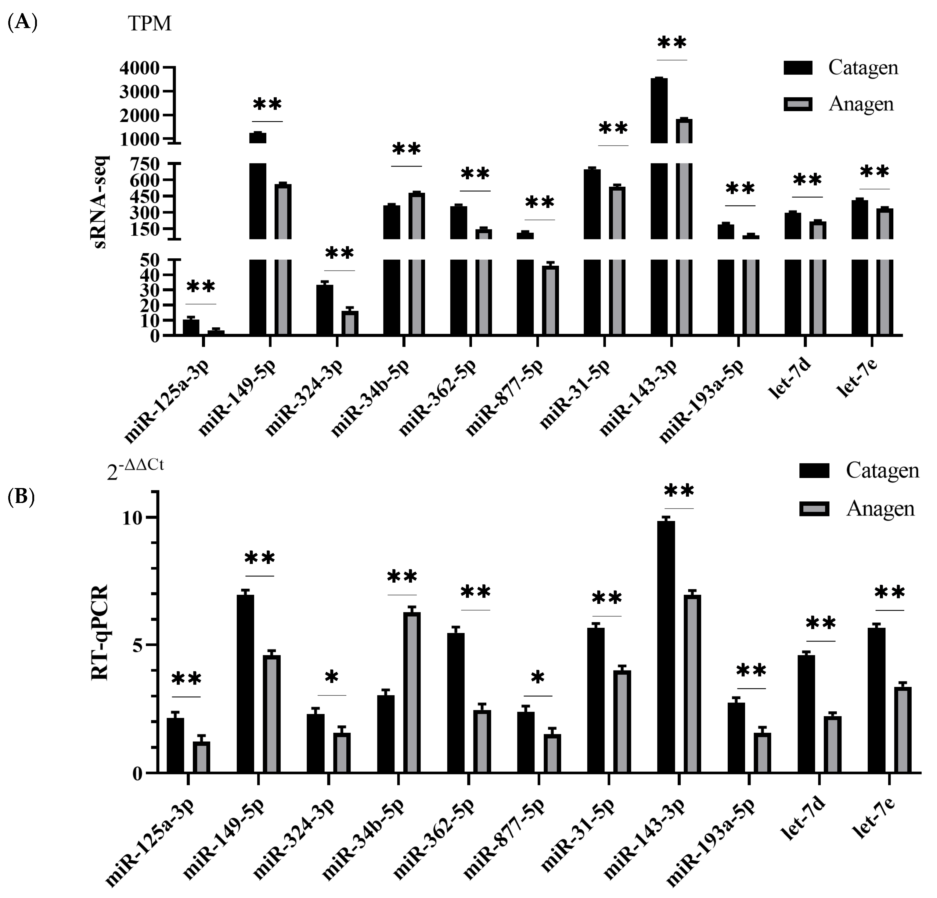 Animals 13 03869 g007