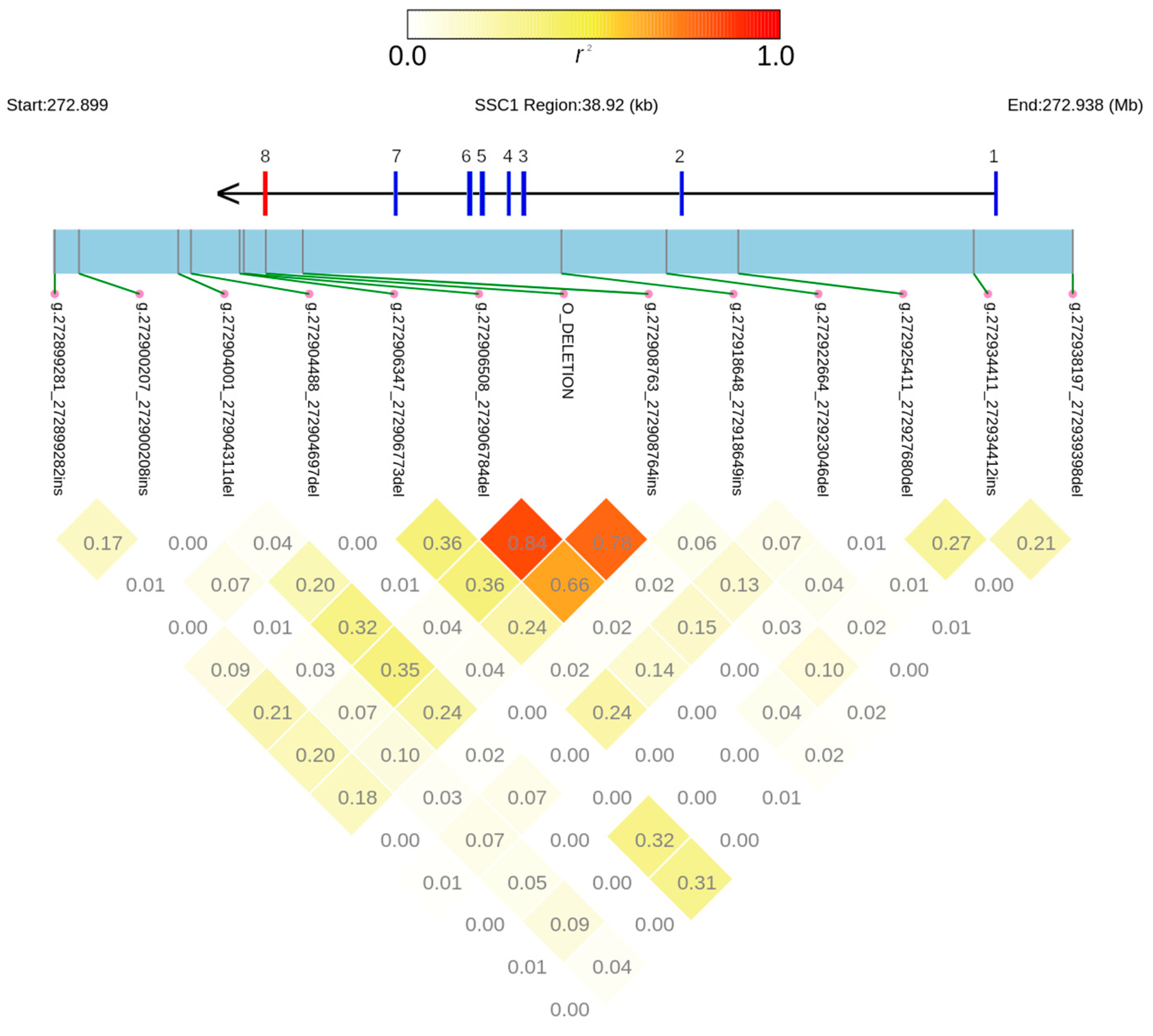 Animals 14 00005 g002