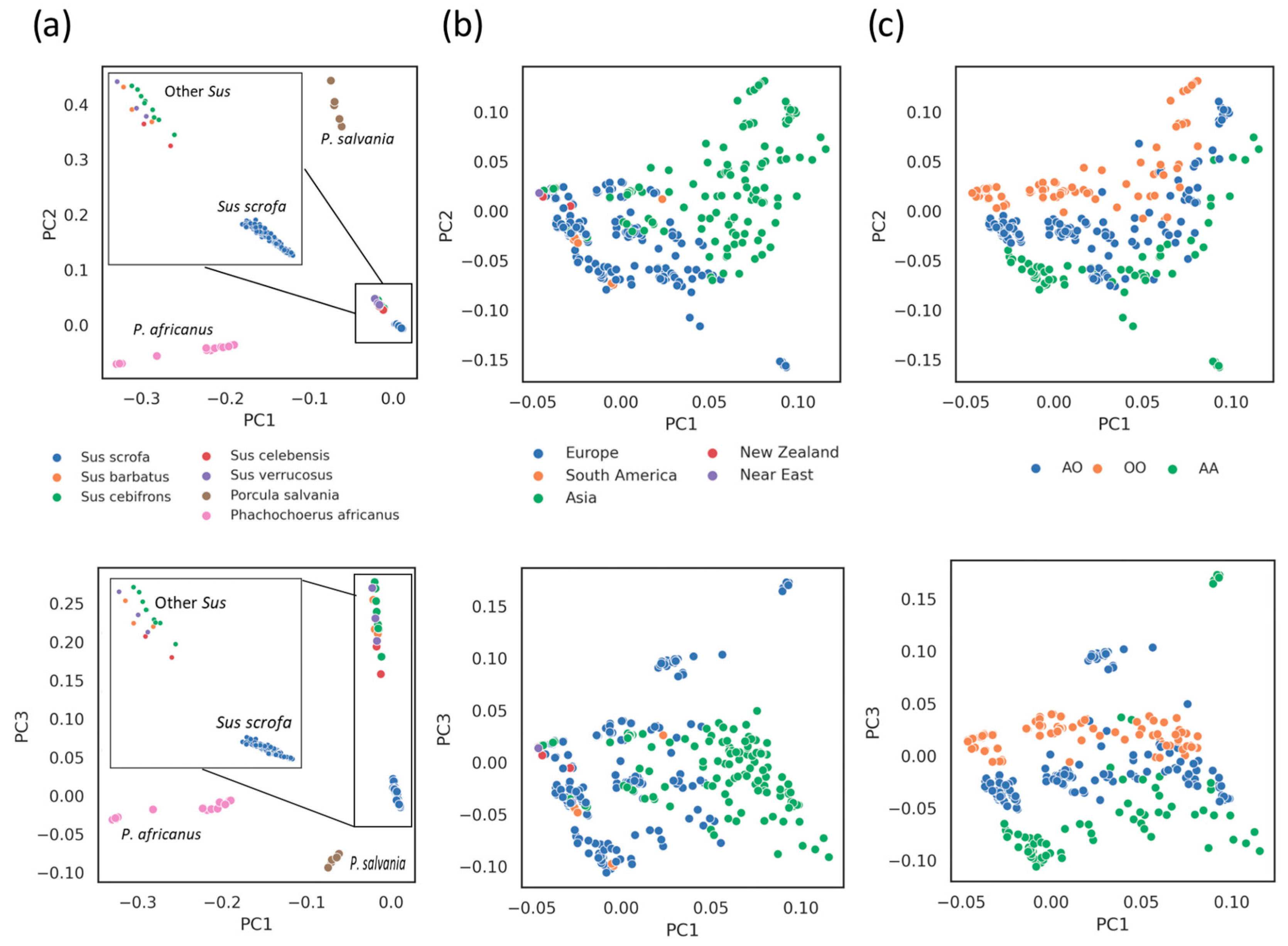 Animals 14 00005 g003