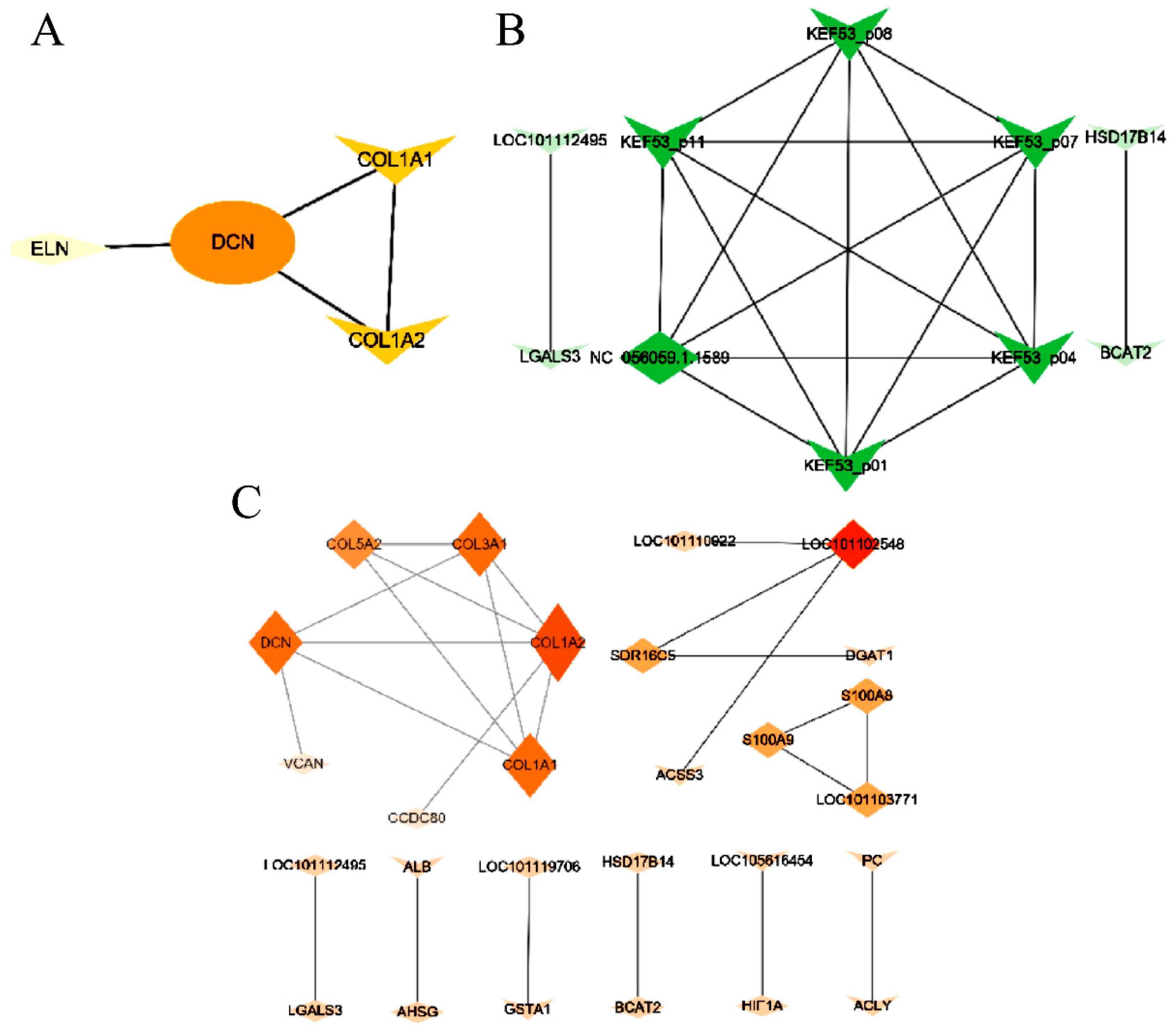Animals 14 00007 g005
