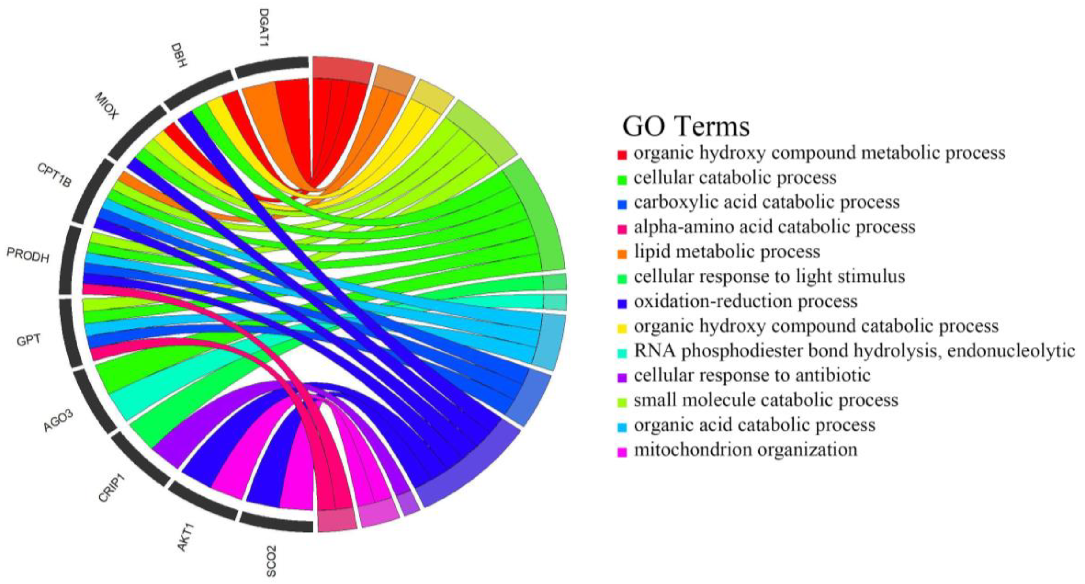 Animals 14 00017 g004