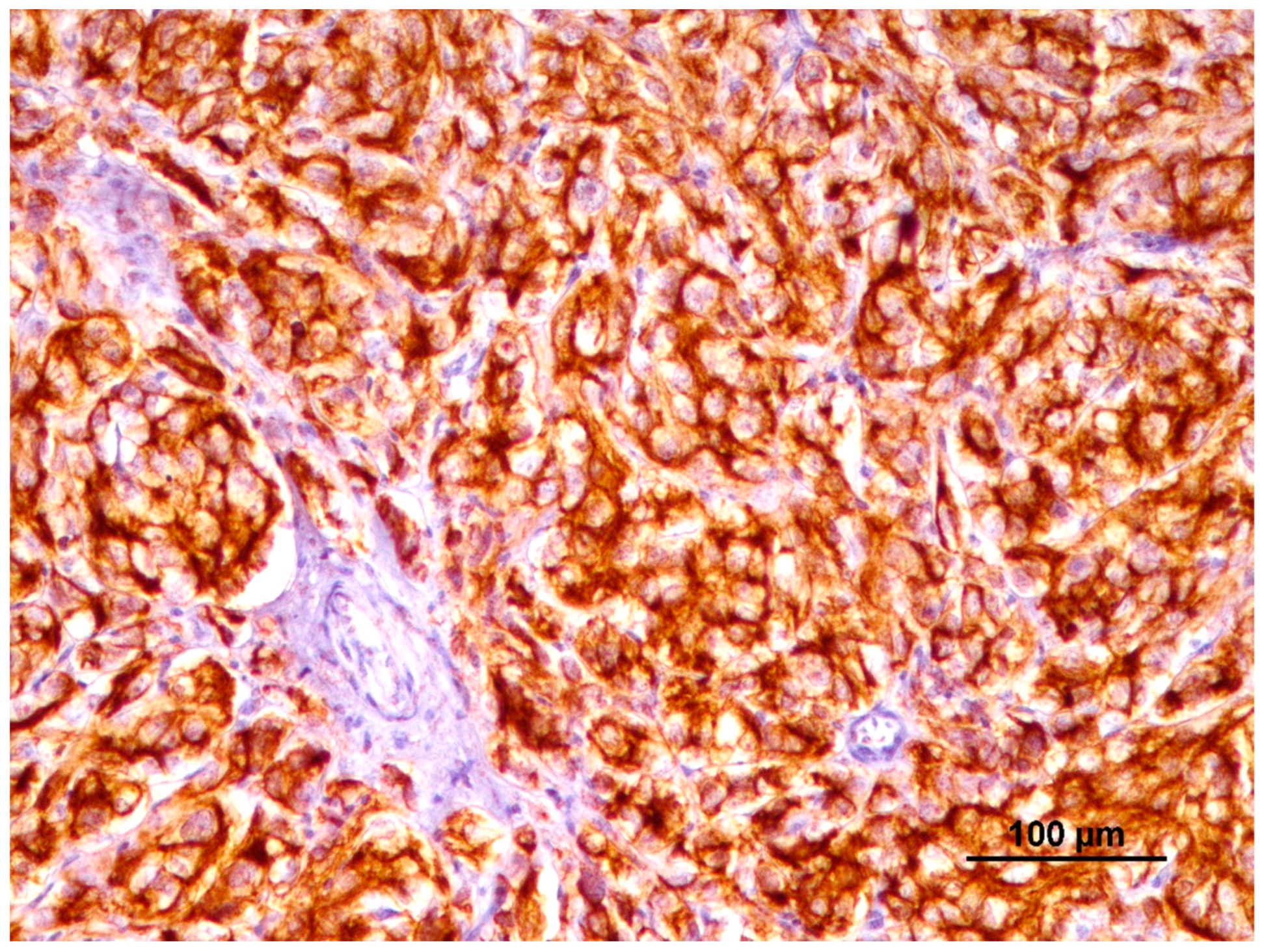 Animals 14 00048 g005 Animals 14 00048 g005