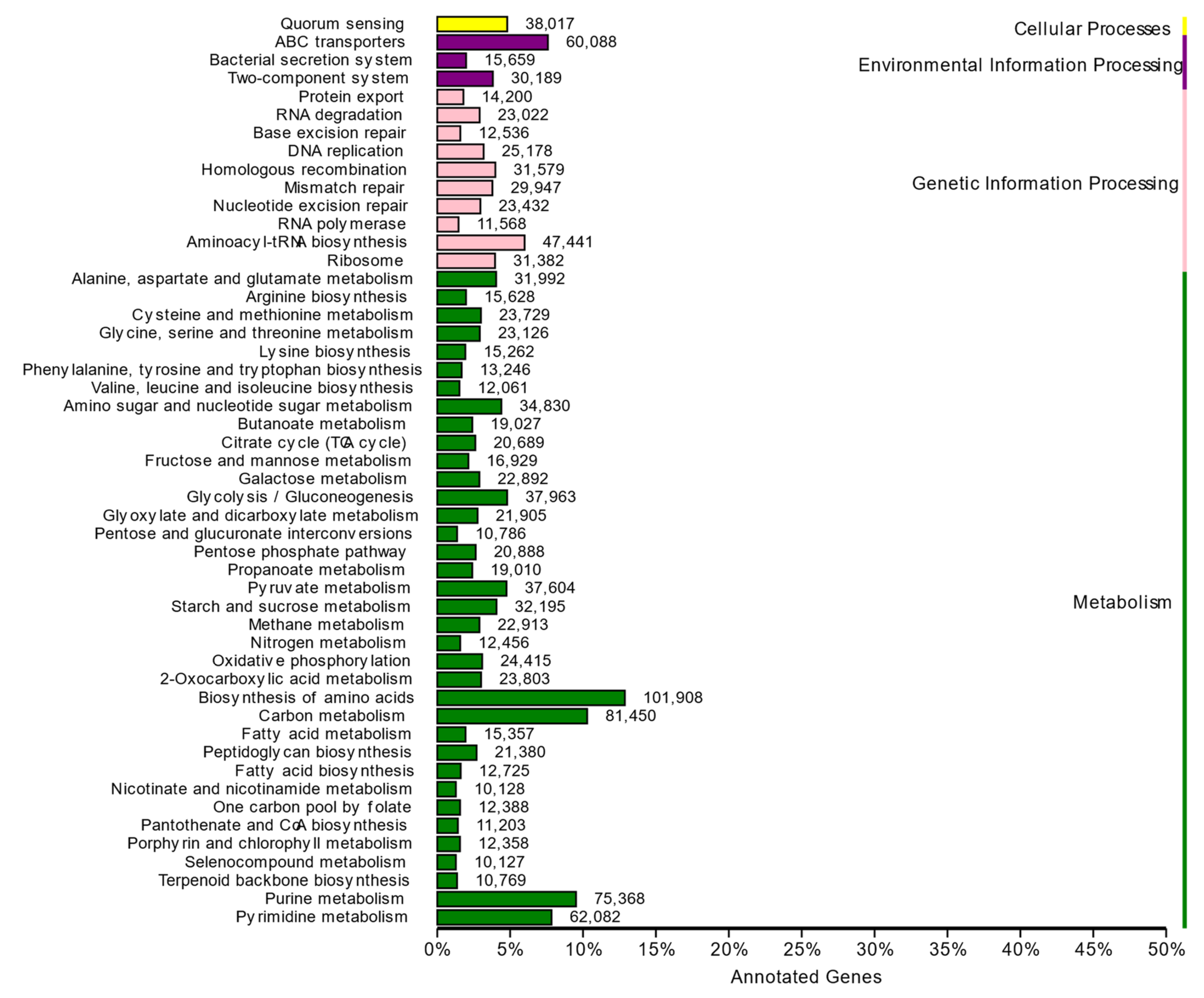 Animals 14 00055 g006