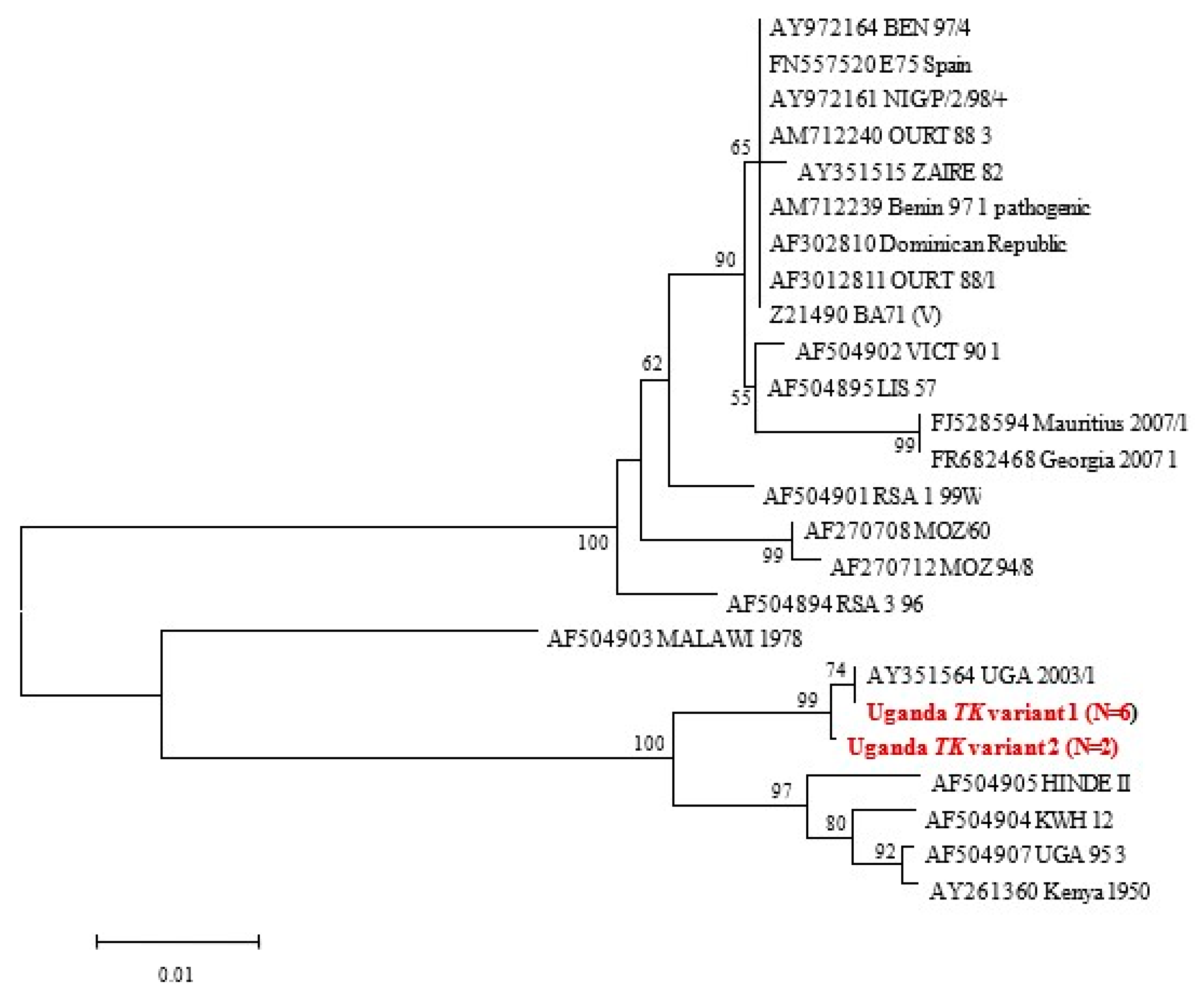 Animals 14 00071 g004