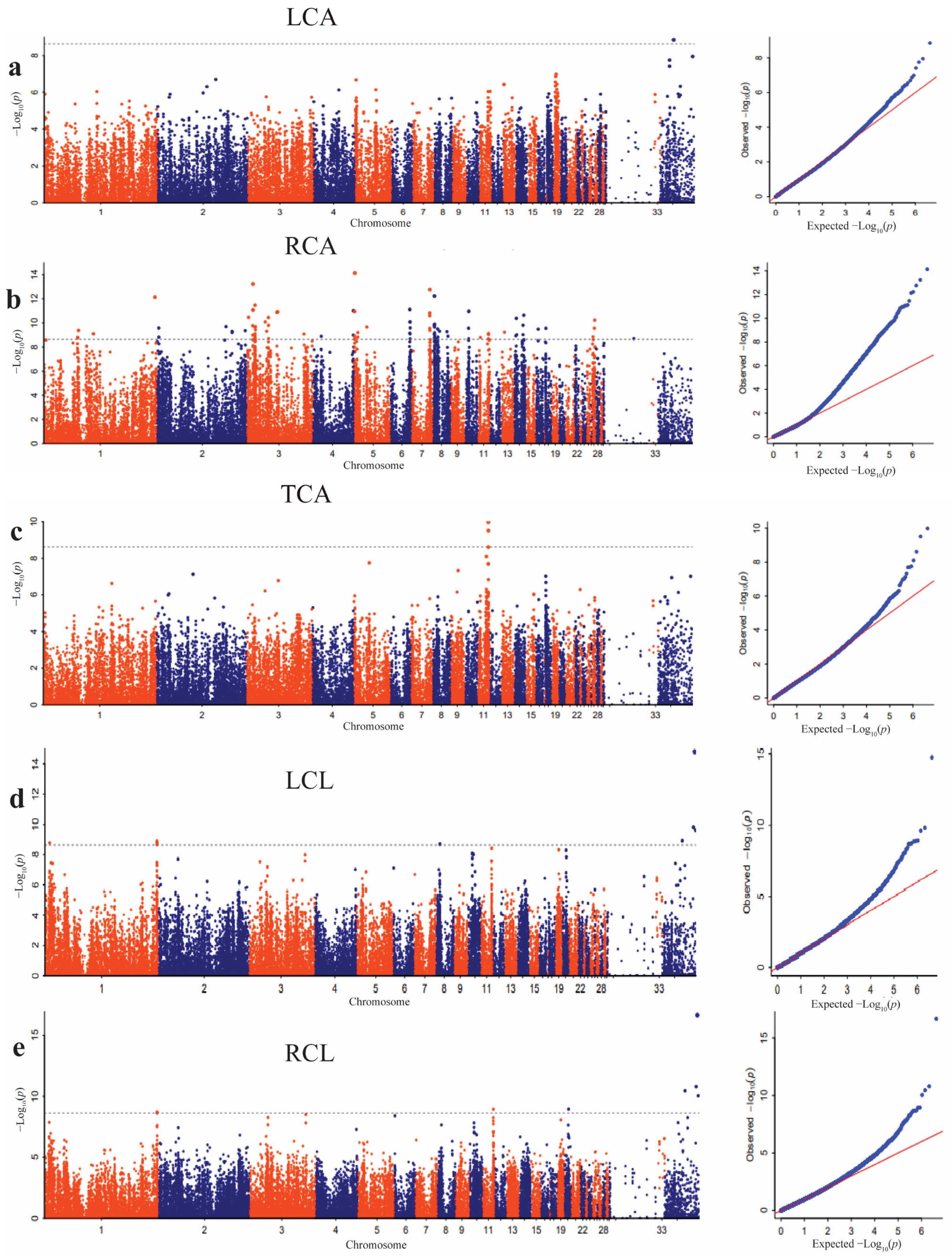 Animals 14 00085 g003