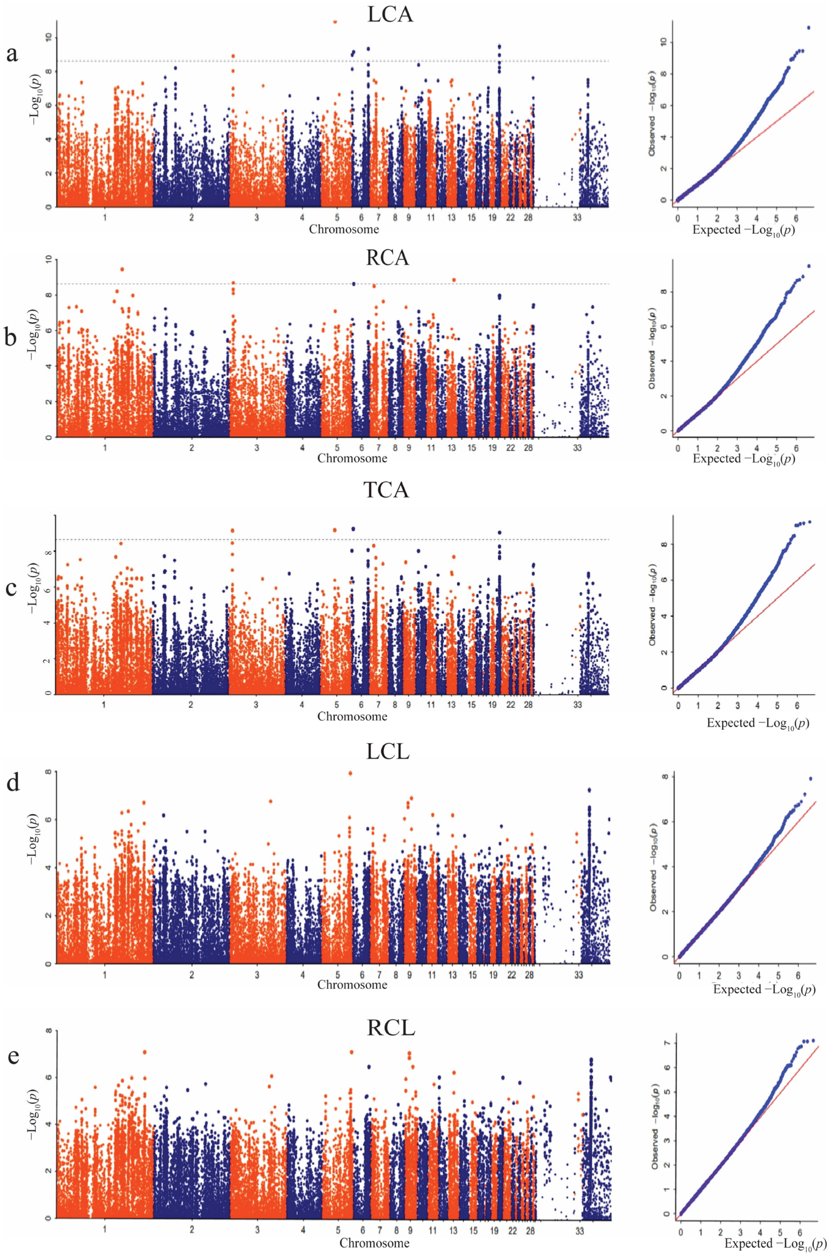 Animals 14 00085 g005