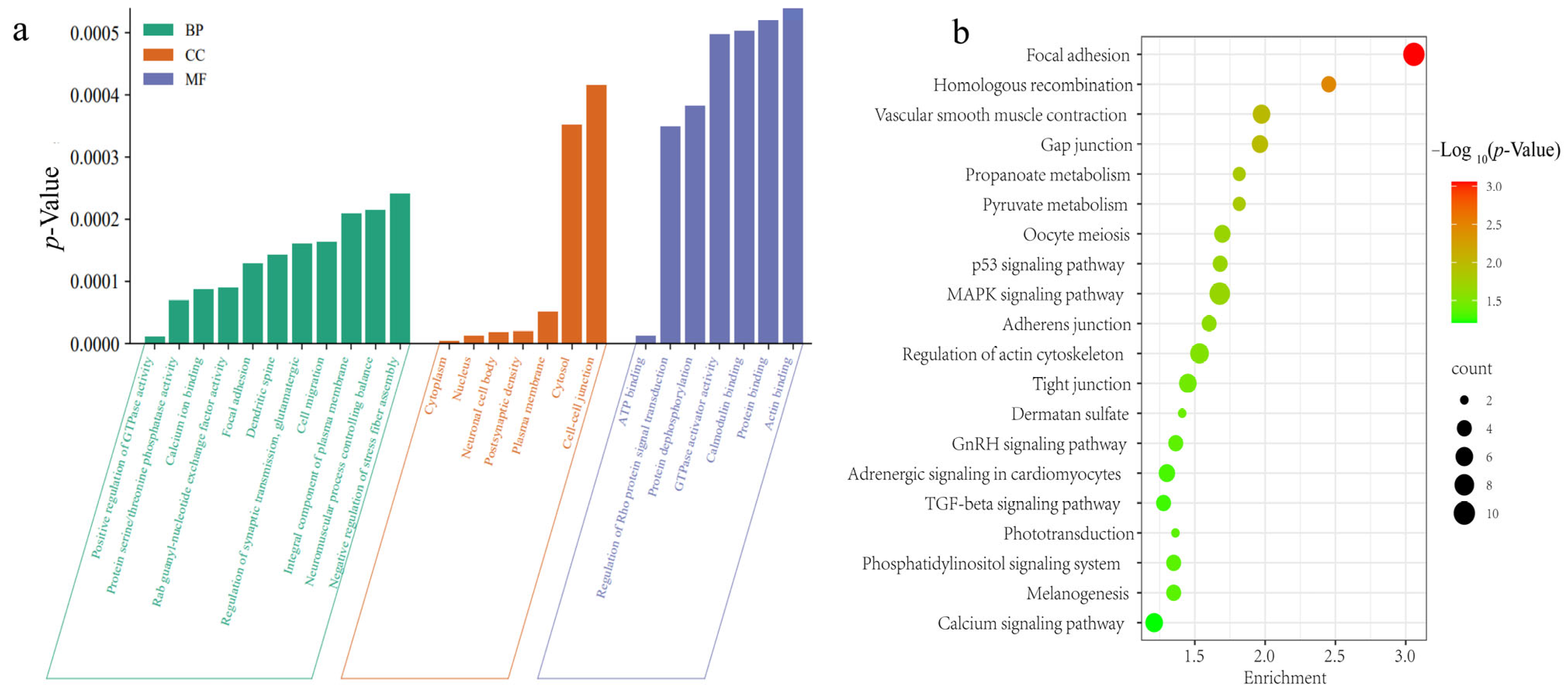 Animals 14 00085 g006