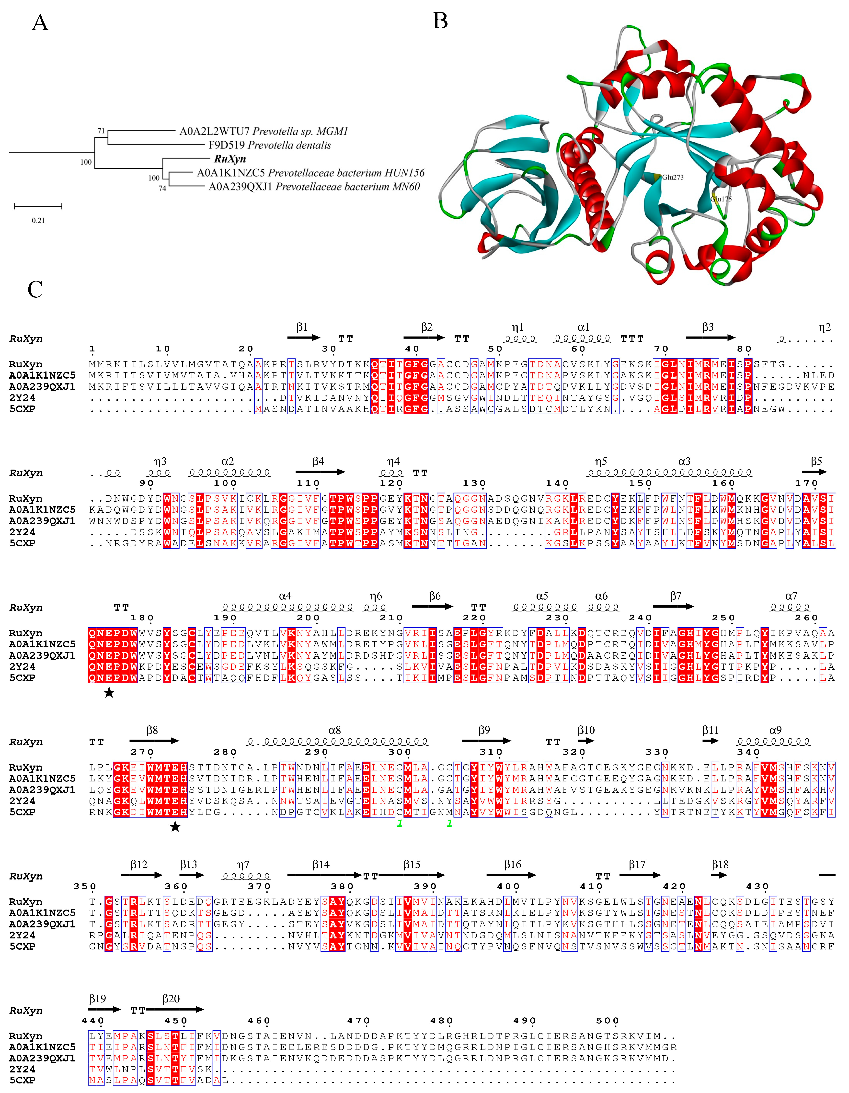 Animals 14 00118 g001