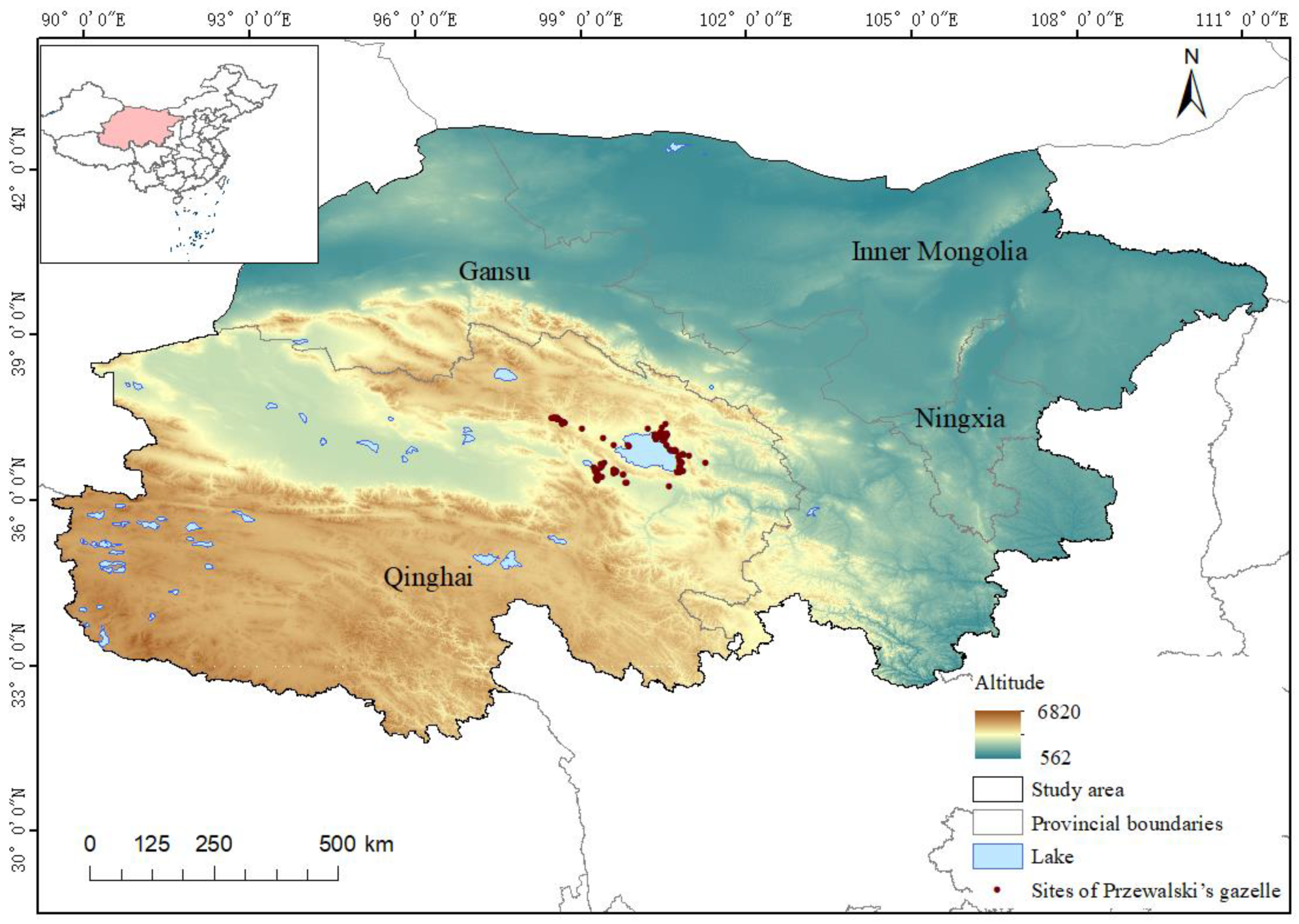 Animals 14 00149 g001