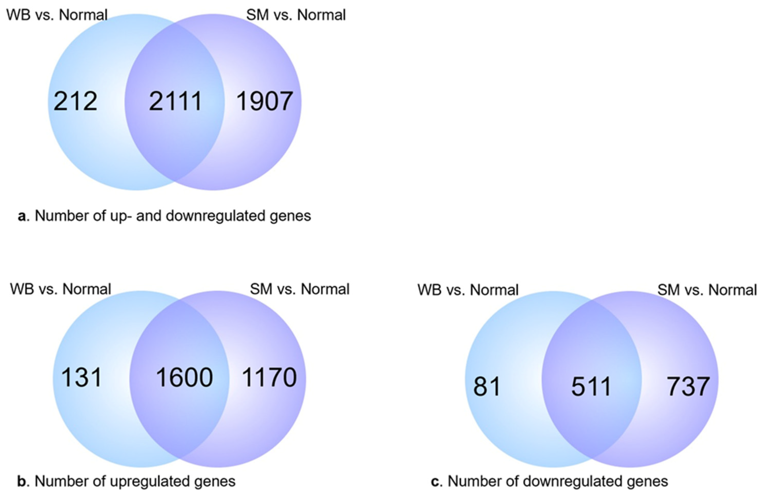 Animals 14 00176 g002
